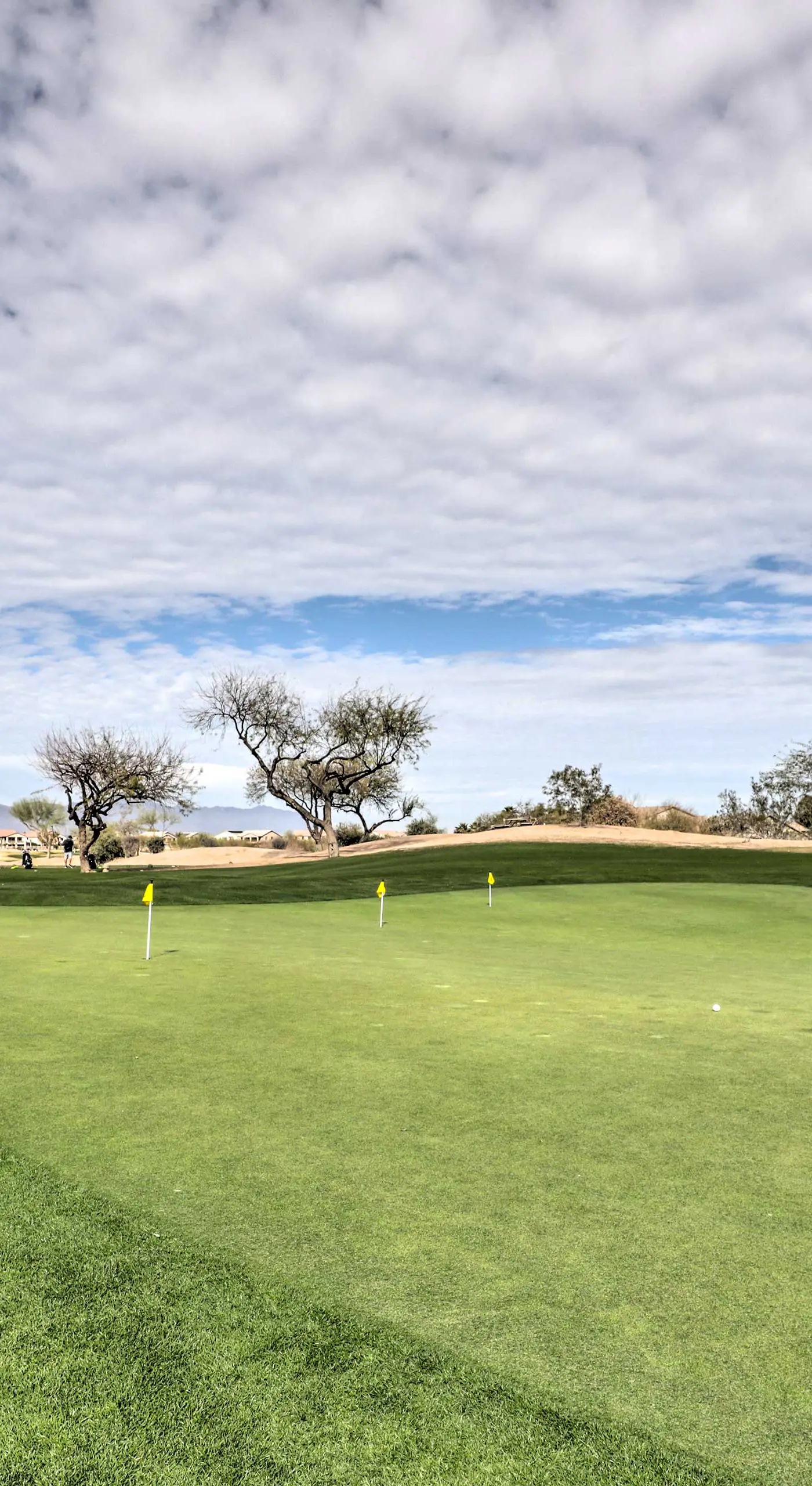 Maricopa Home <1 Mile to The Duke Golf Course!
