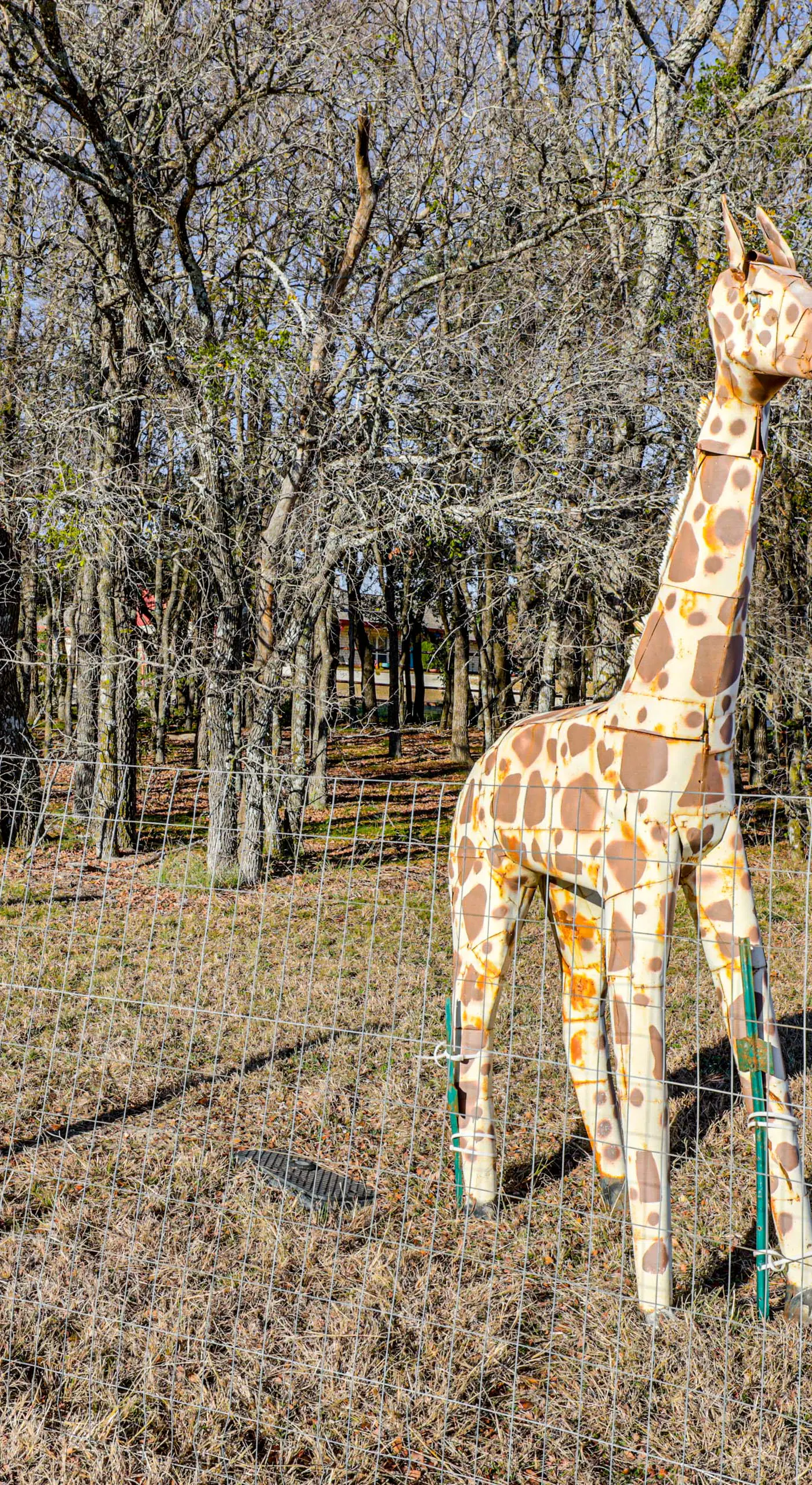 Granbury Studio - 10 Mins From Town + The Lake!