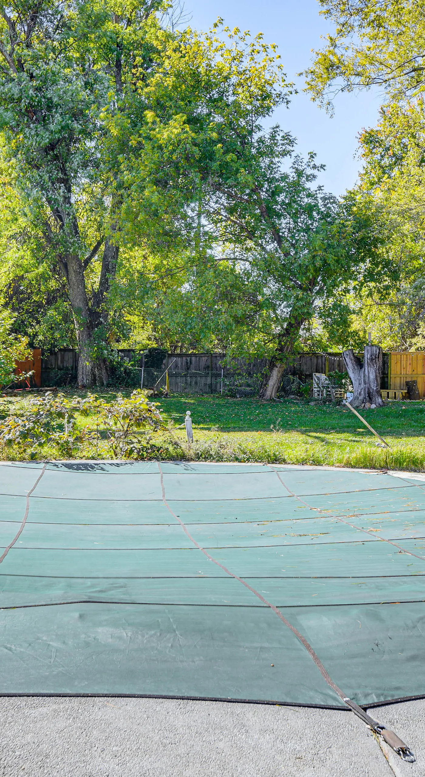Pets Welcome: Quiet Silver Spring Retreat!