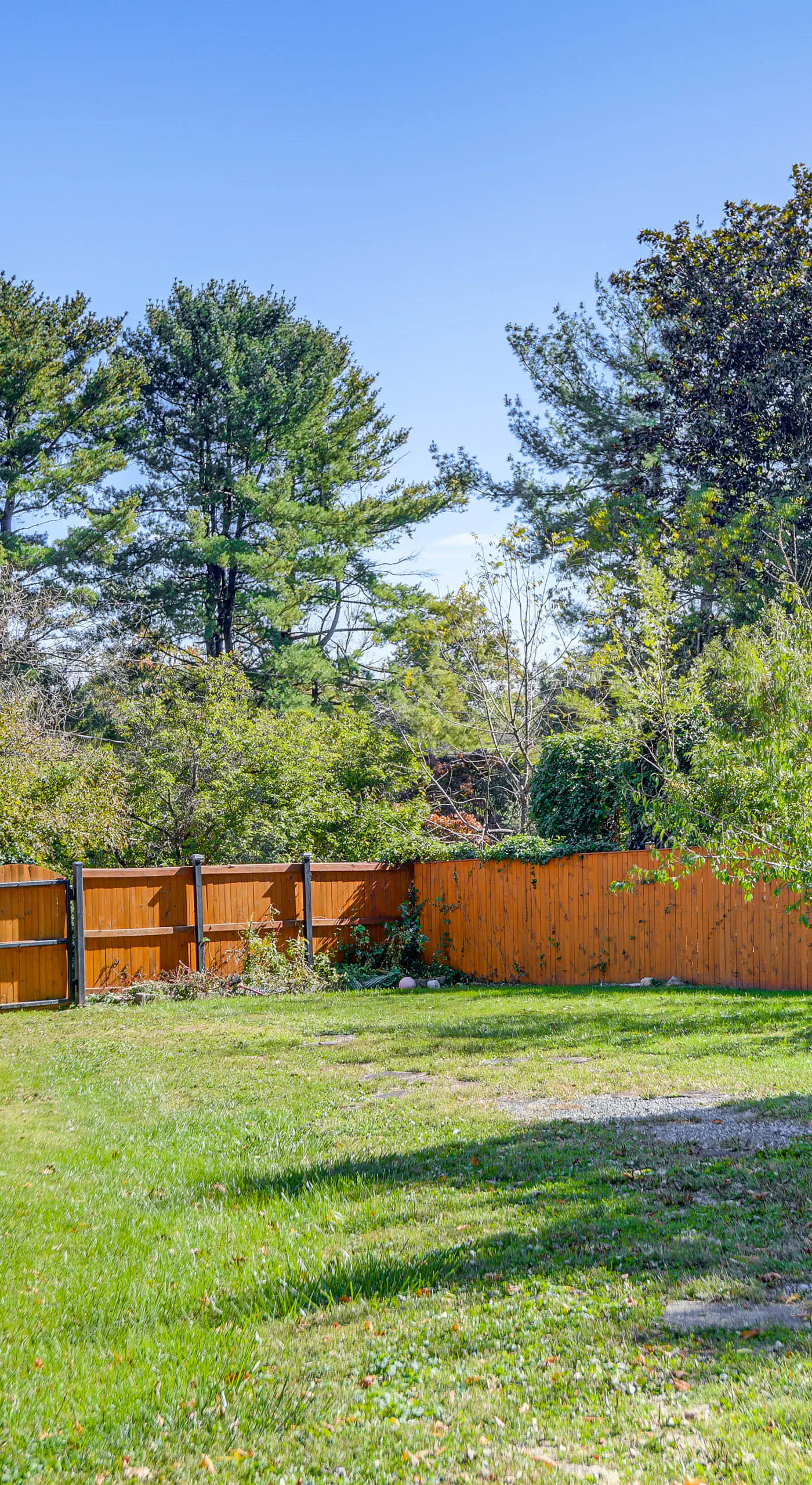 Pets Welcome: Quiet Silver Spring Retreat!
