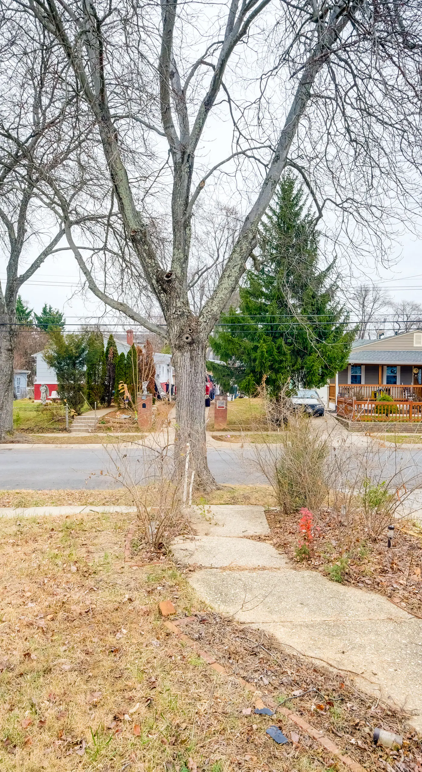 DC Area Home ~ 1 Mi to Metro: WFH Friendly!