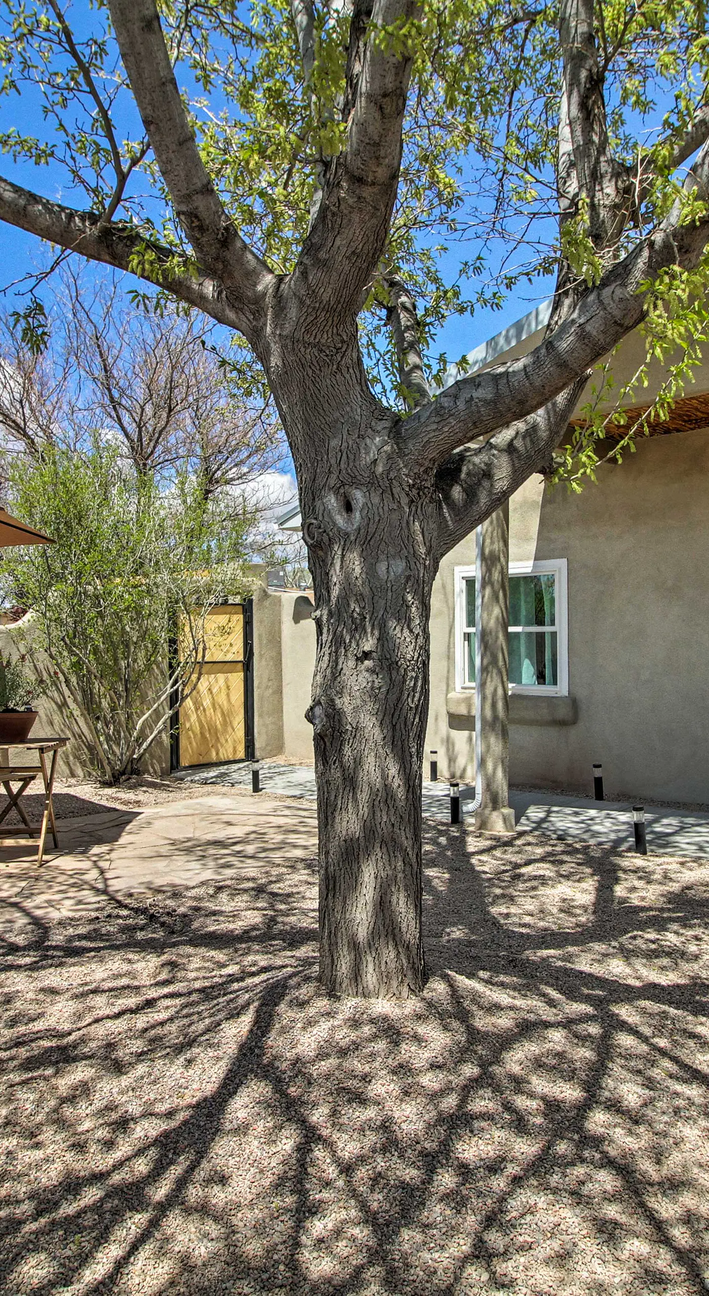 Luxury Albuquerque Home w/ Pool, Deck, + Hot Tub!