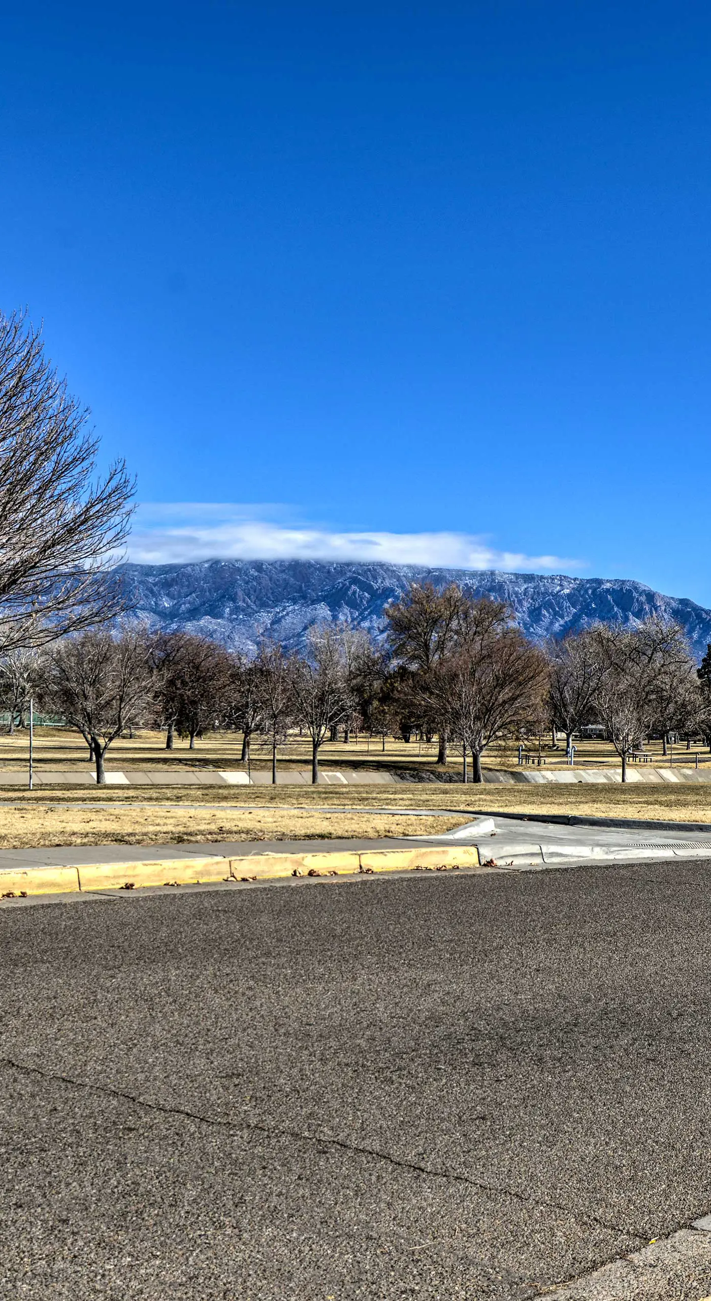 Vibrant ABQ Adobe Den: Mtn Views, Walk to Park!