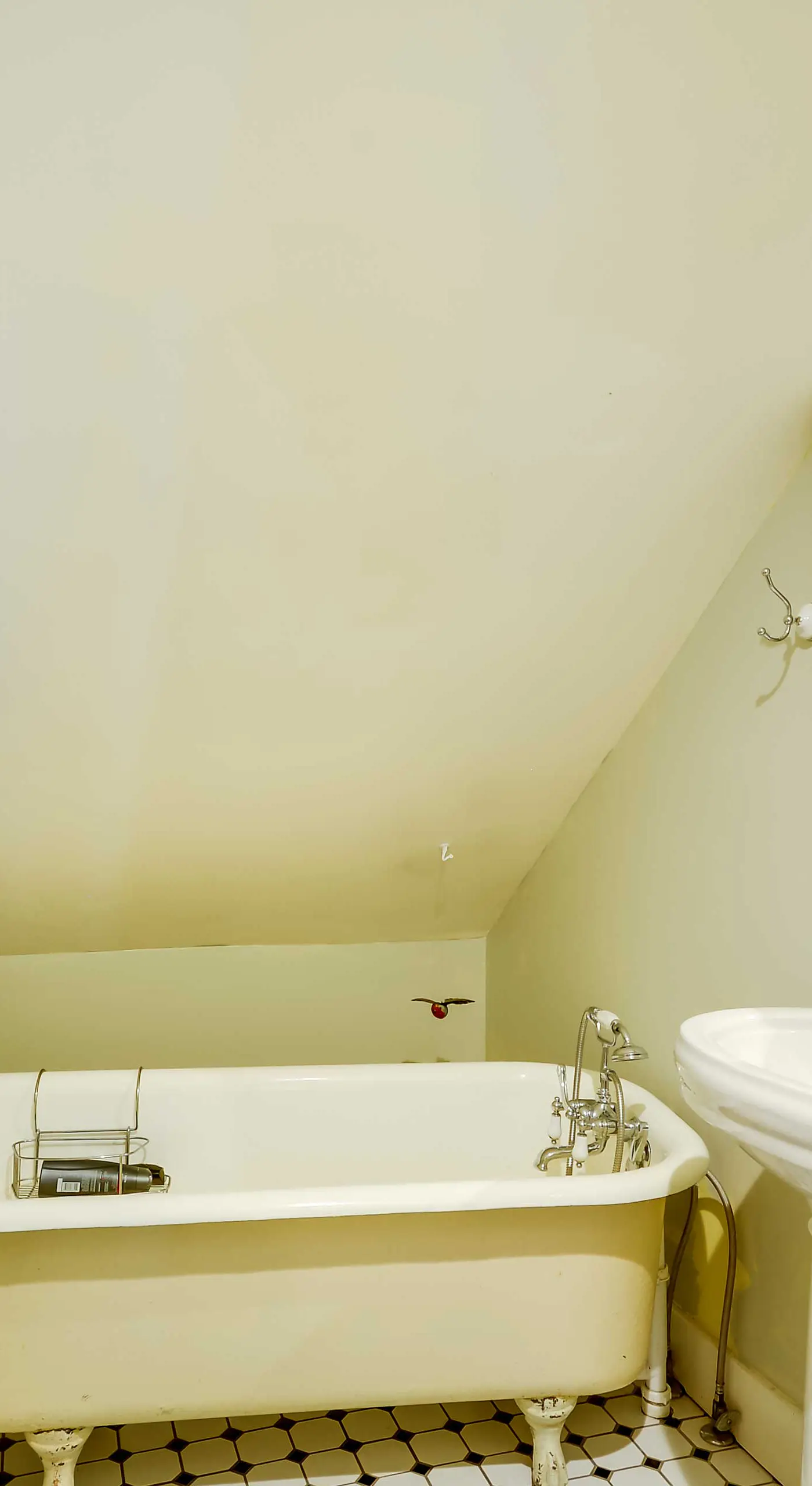 Red Lodge Home on Broadway - 15 Min to Ski Resort!