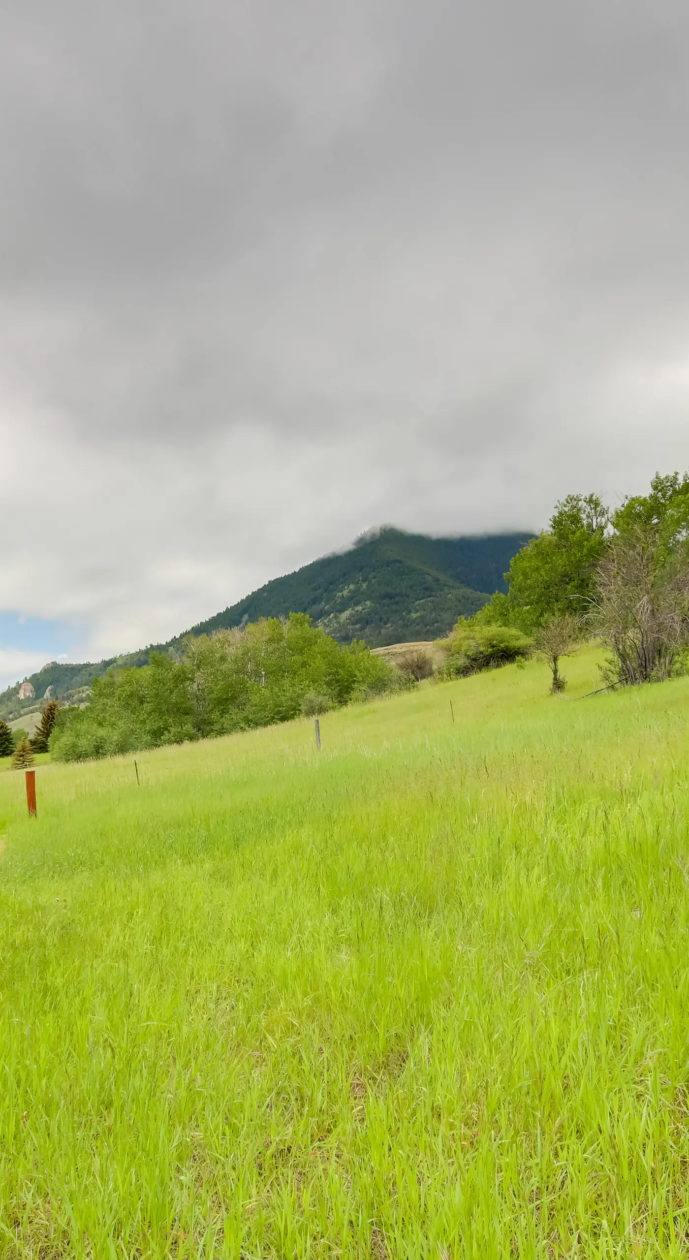 Red Lodge Vacation Rental w/ Mountain Views!