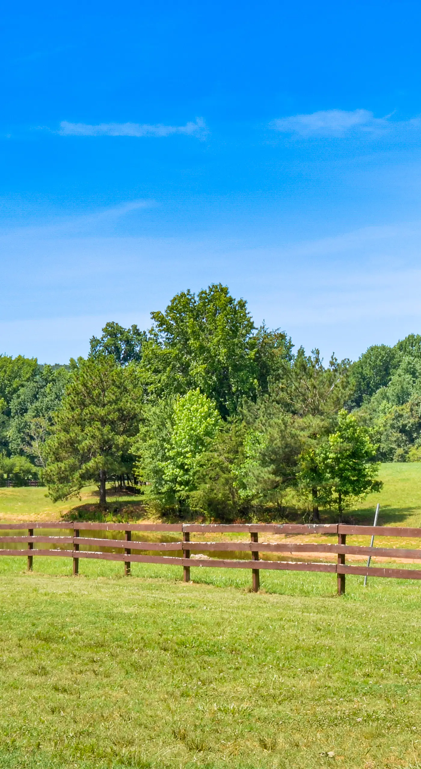 Historic Farmhouse: Memorable Moments Near Clemson