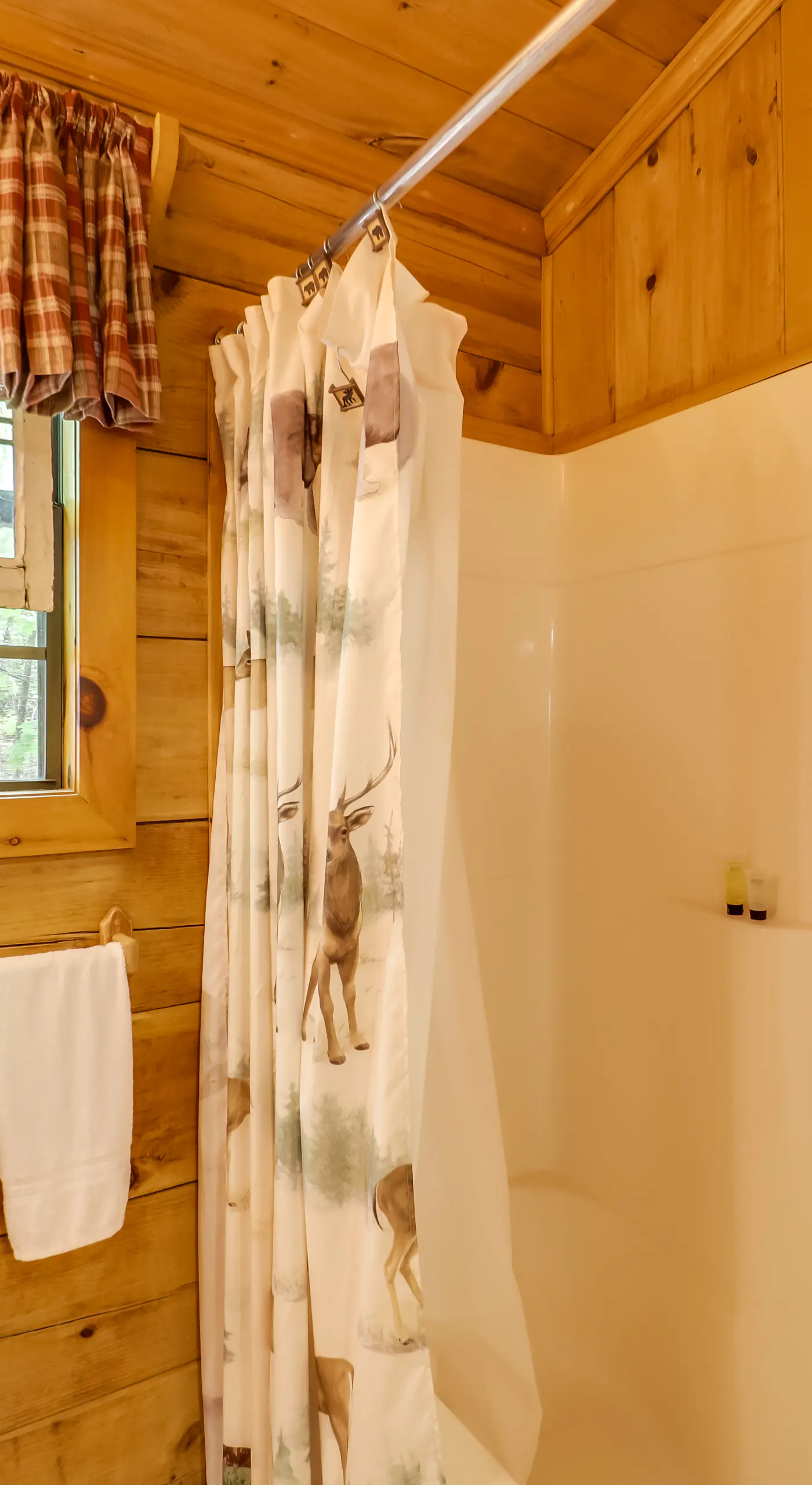 Unwind in Nature: Marion Cabin 11 Mi to Lake Lure!