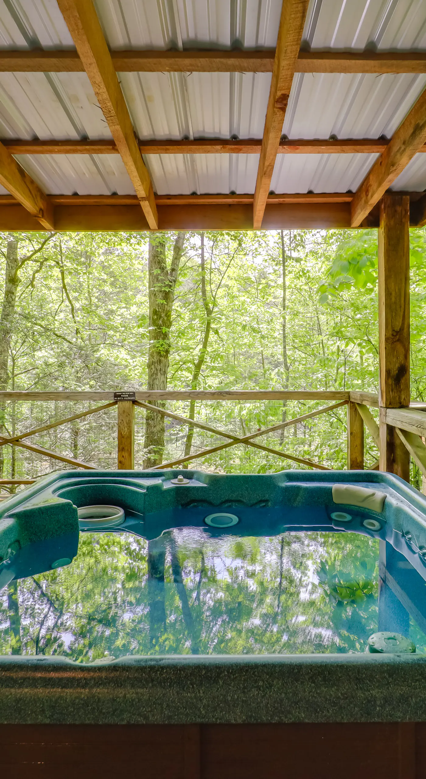 Unwind in Nature: Marion Cabin 11 Mi to Lake Lure!