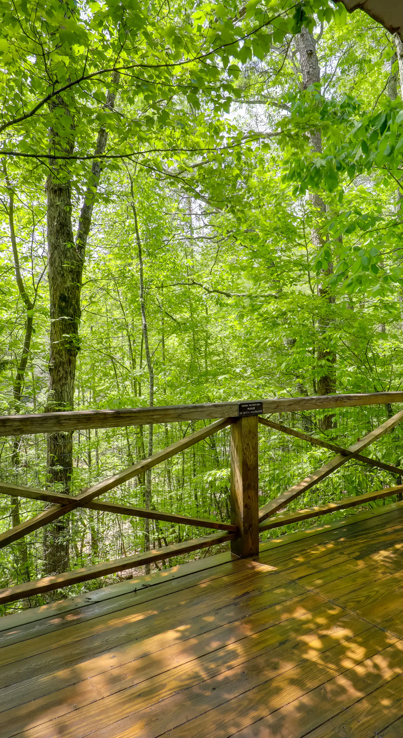 Unwind in Nature: Marion Cabin 11 Mi to Lake Lure!