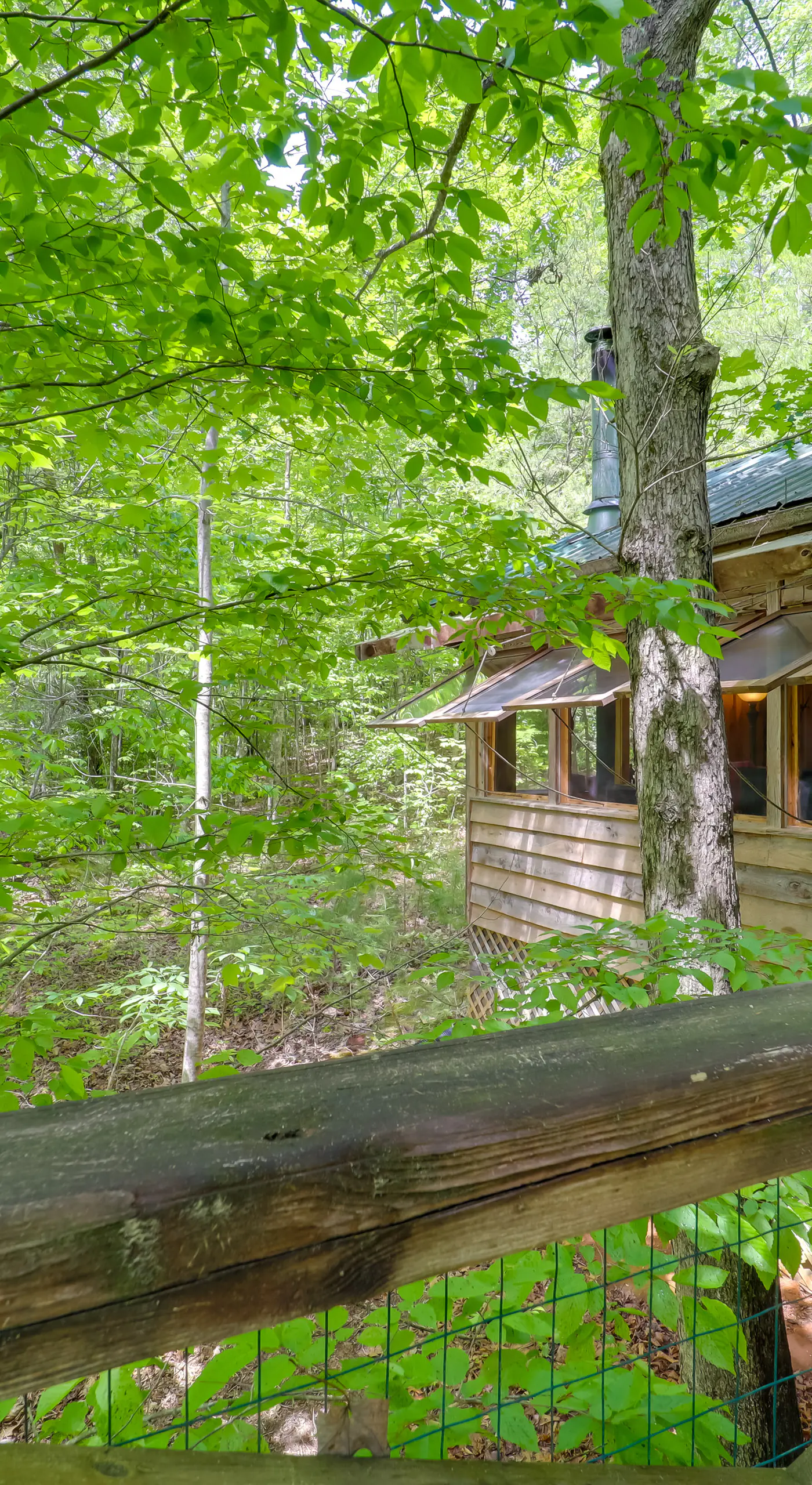 Unwind in Nature: Marion Cabin 11 Mi to Lake Lure!