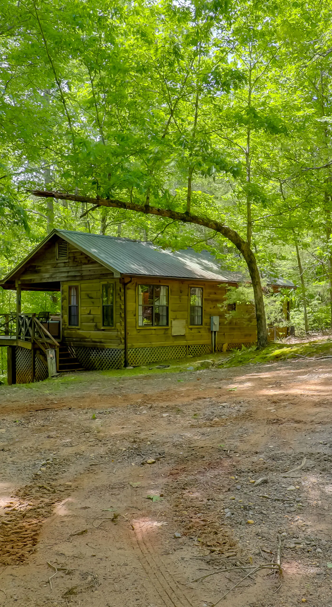 Unwind in Nature: Marion Cabin 11 Mi to Lake Lure!