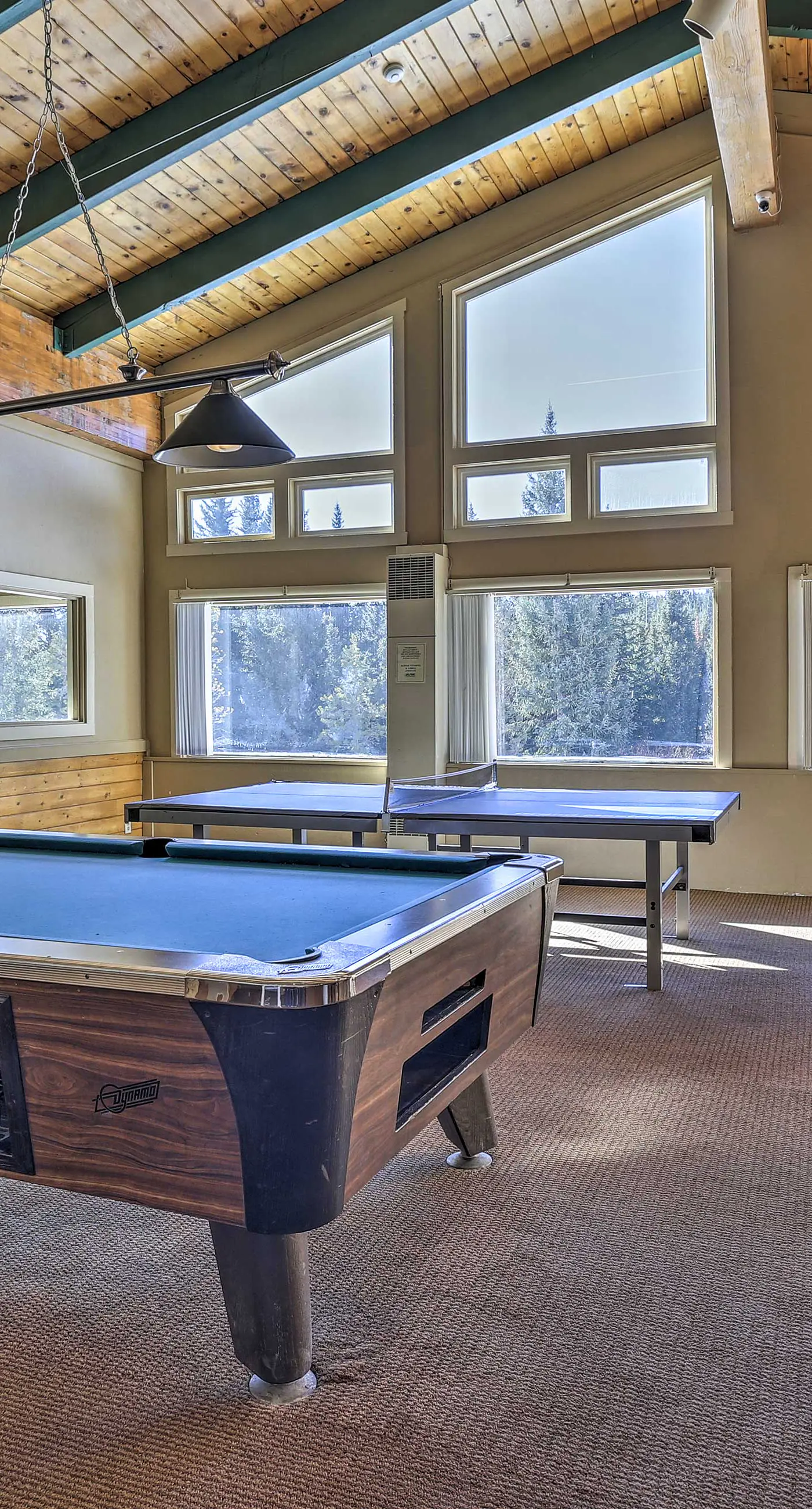 Pool, Hot Tub & Ski Shuttle! Extended Mtn Escape