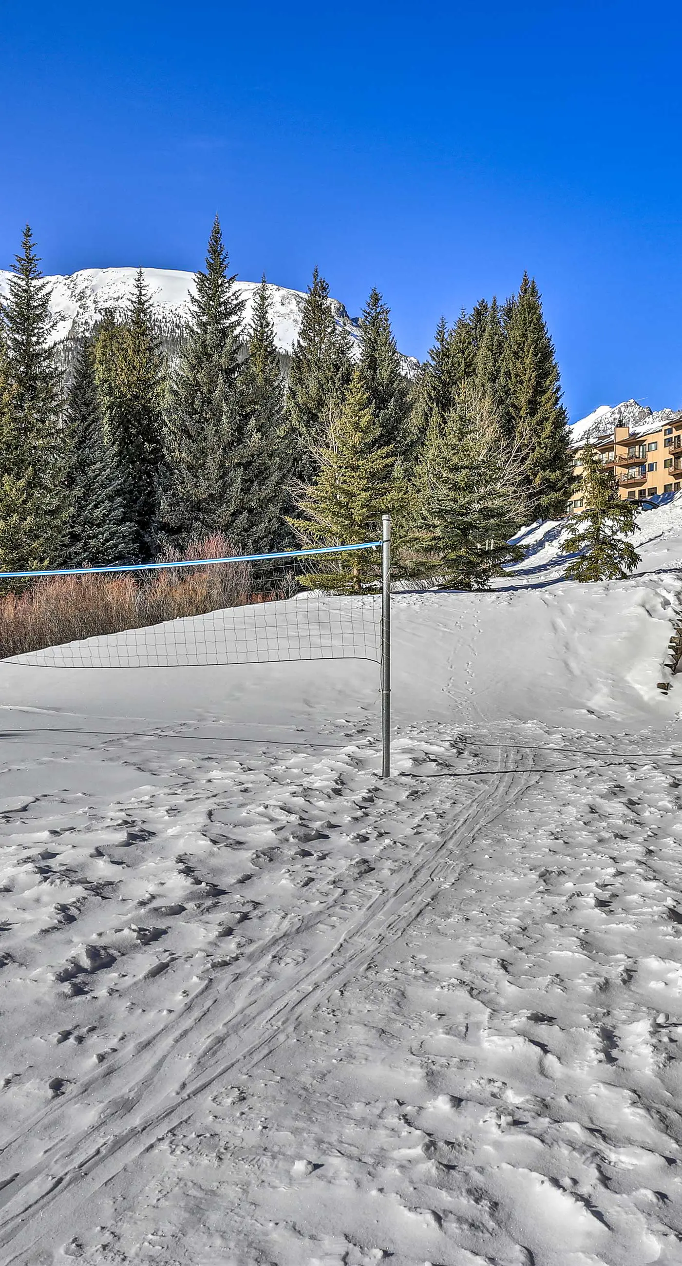 Pool, Hot Tub & Ski Shuttle! Extended Mtn Escape