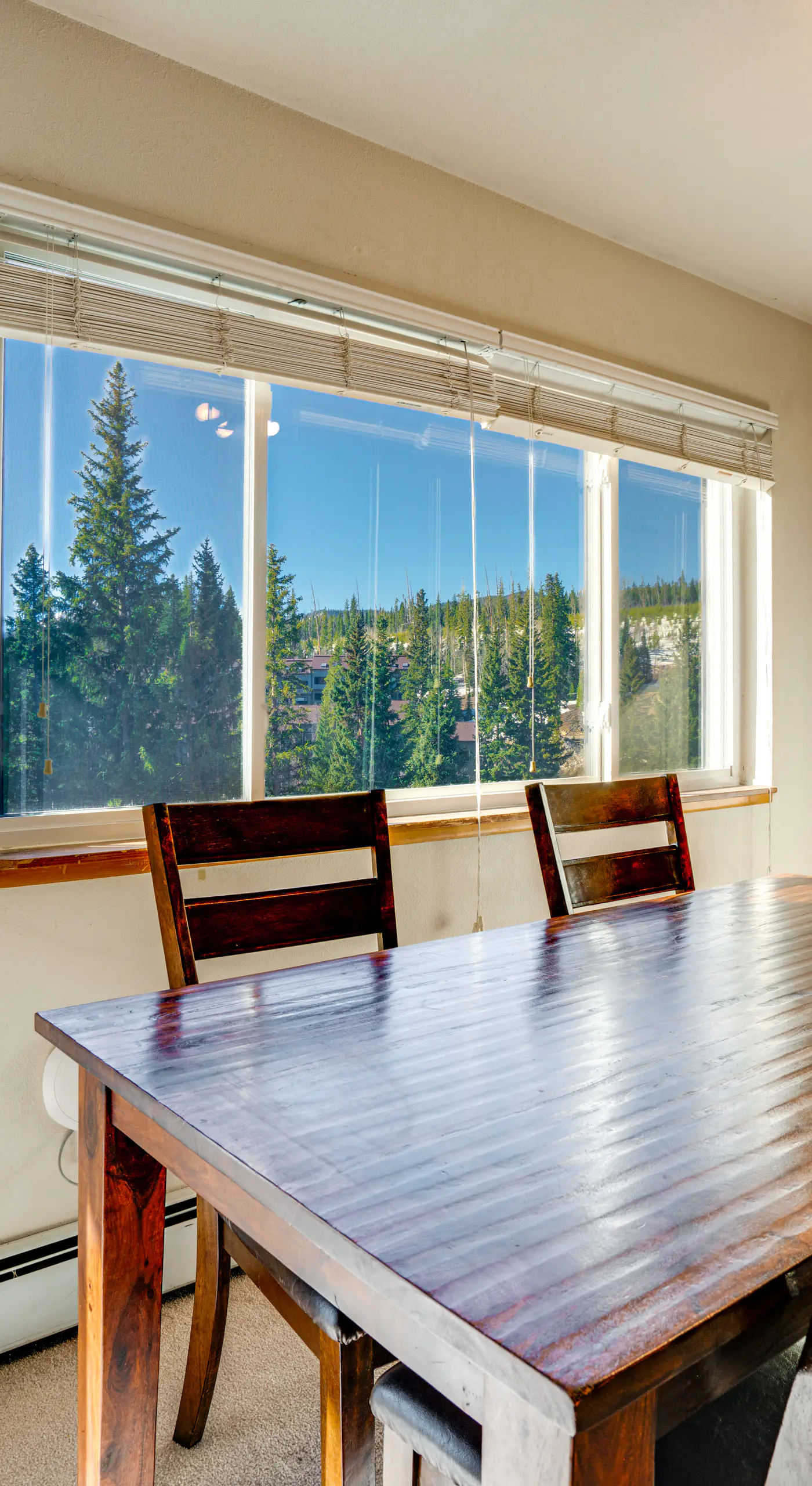 Pool, Hot Tub & Ski Shuttle! Extended Mtn Escape
