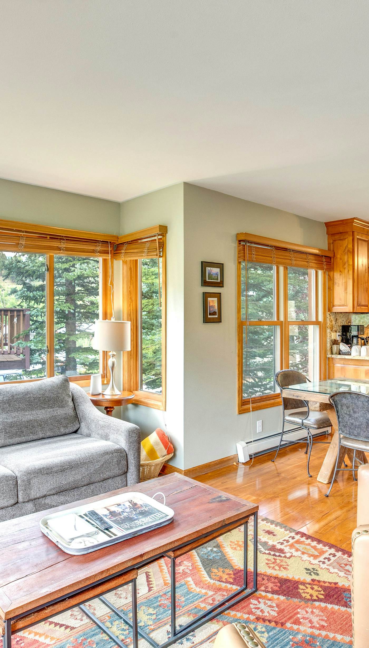 Mountain Village Home Steps to Ski Lift & Shuttle!