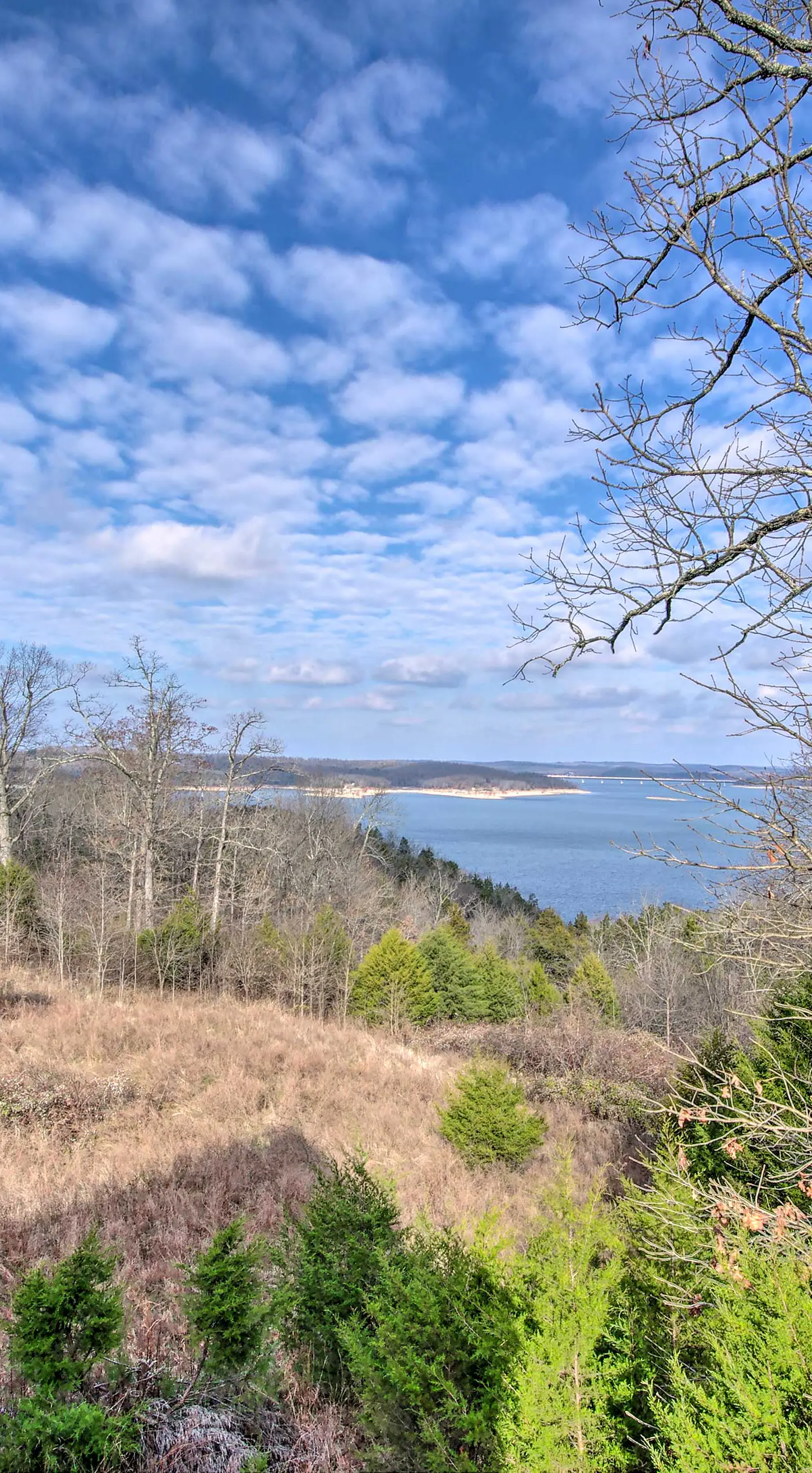 Large Cabin w/ Deck Overlooking Norfork Lake!
