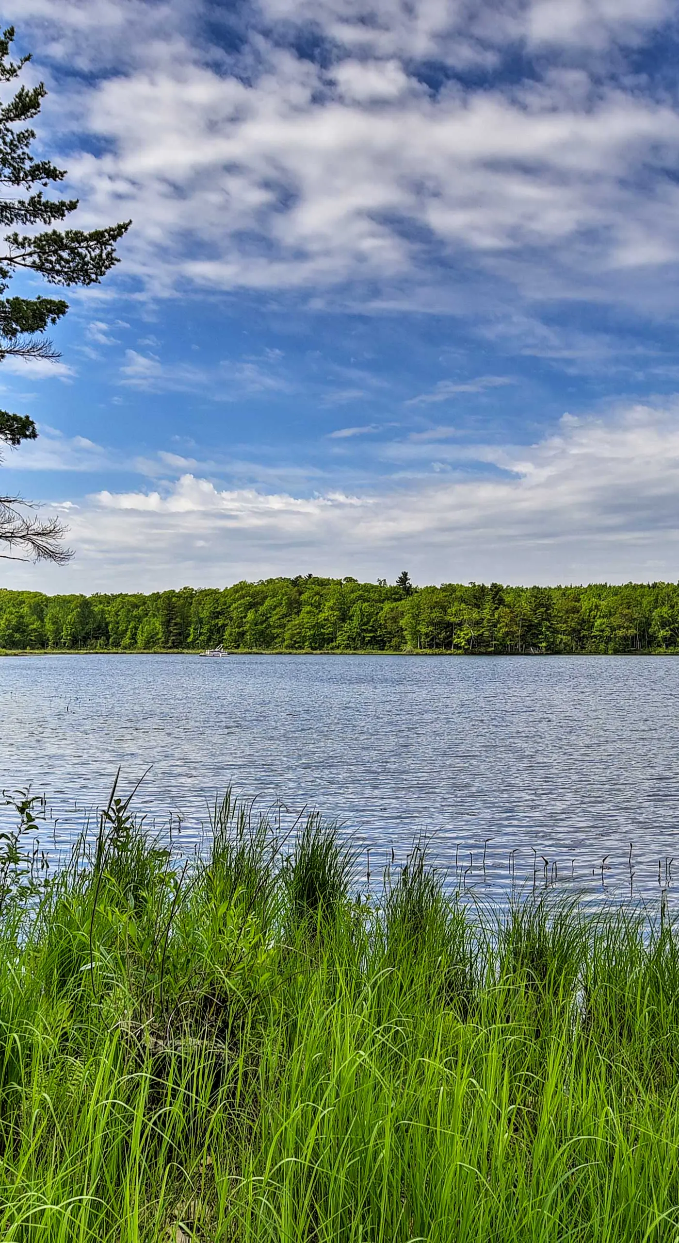 Burns Lake Cabin w/ Dock, Fire Pit, Rowboat & More