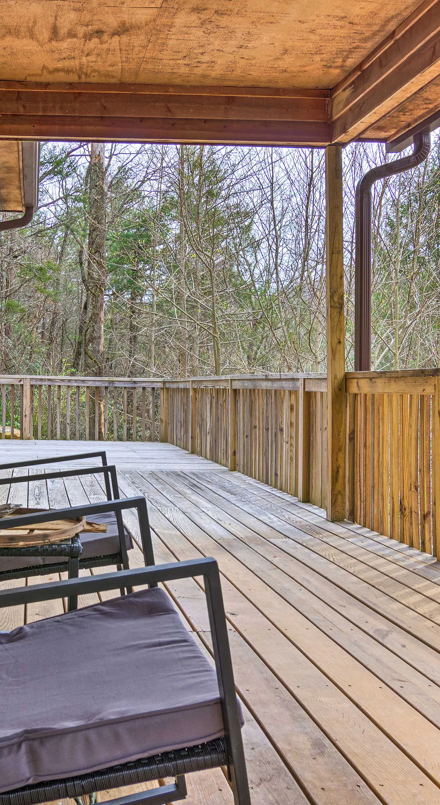 Families & Outdoor Groups! Mtn-View Marion Cabin