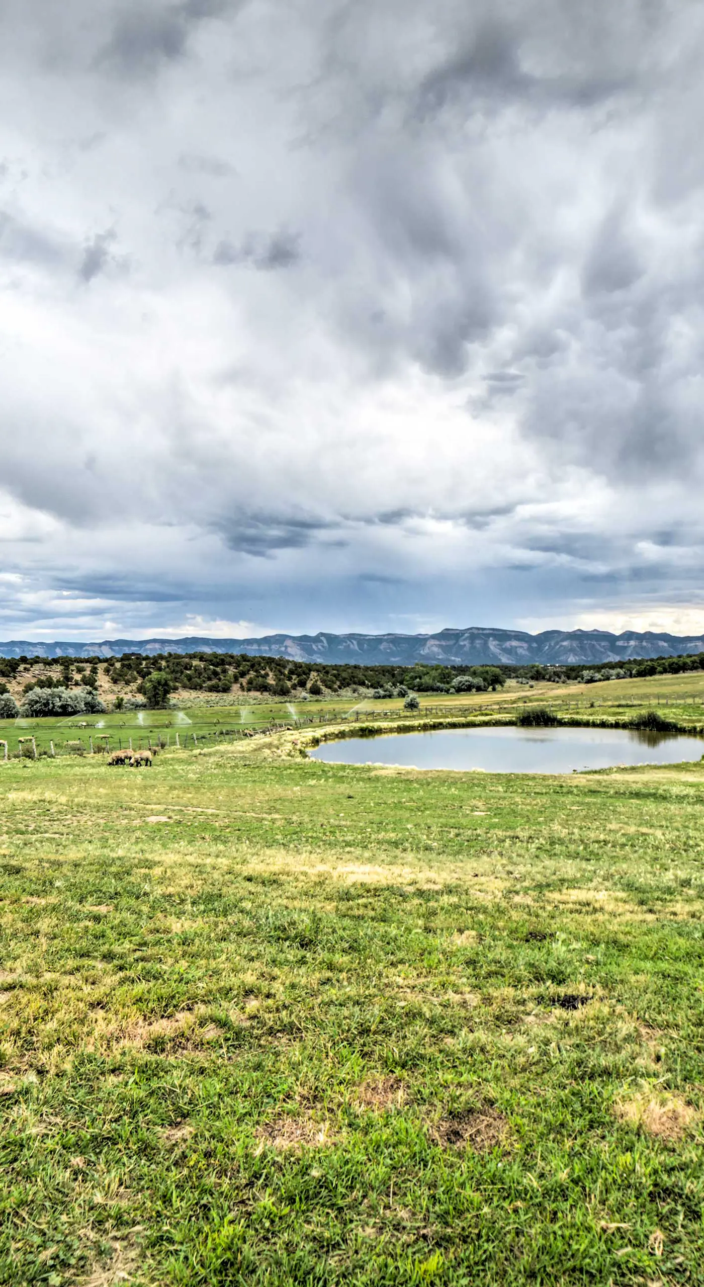 Walkout Apartment w/ Mtn View on Cortez Ranch