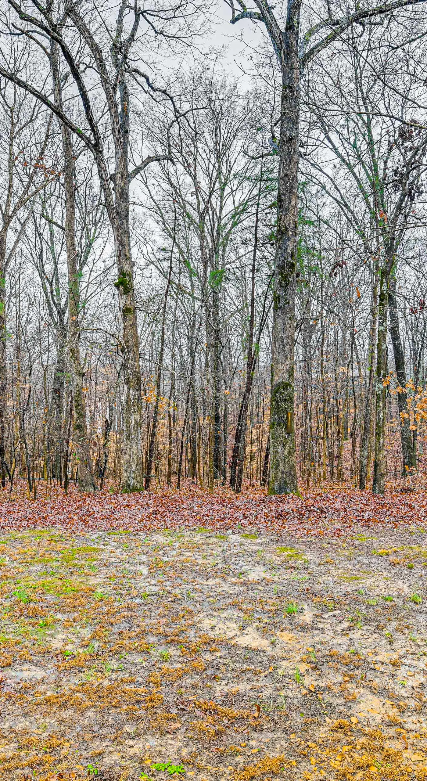 Kentucky Lake Retreat Near Marina & Launch!
