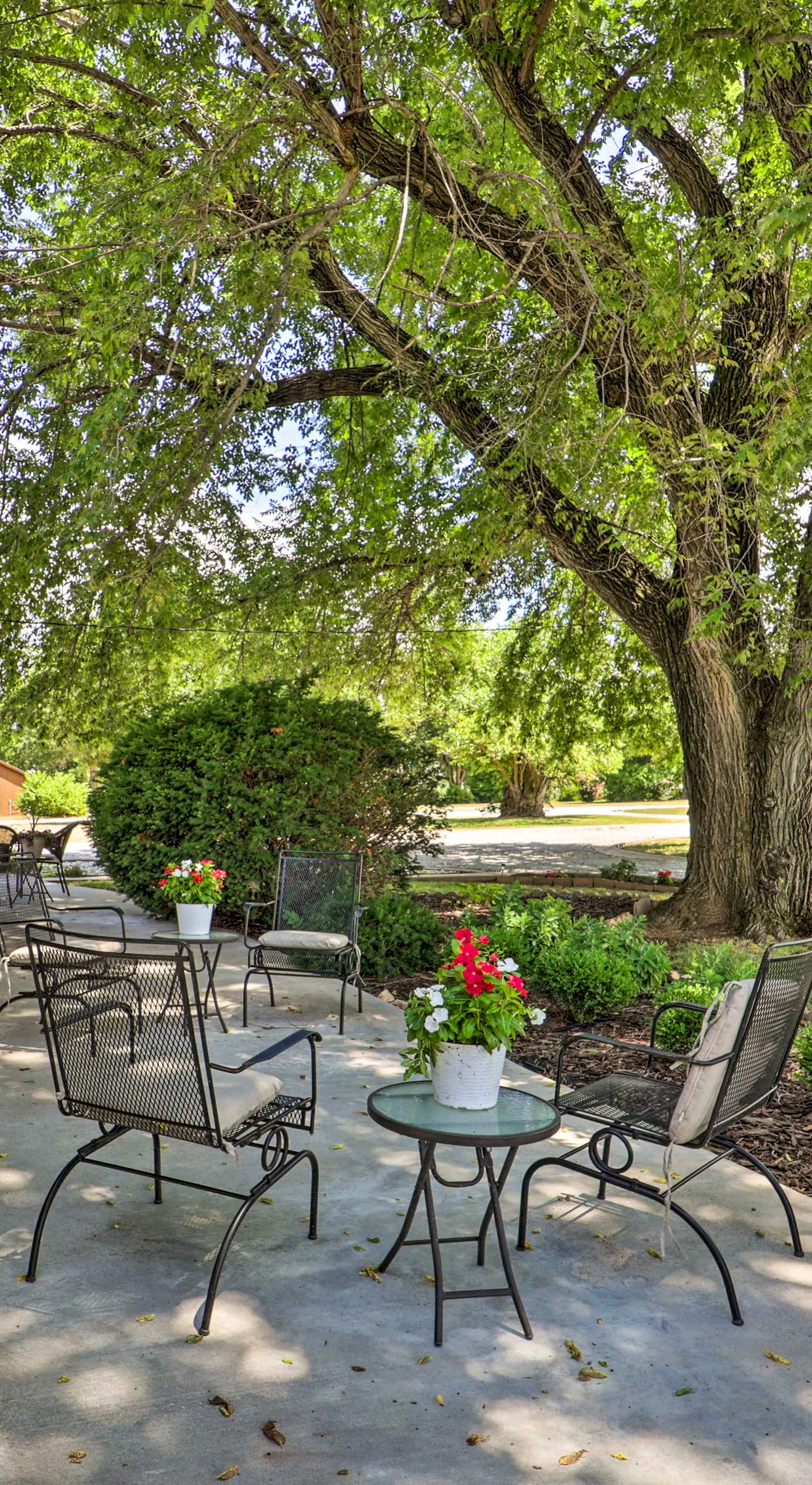 Pool & Outdoor Kitchen: Grand Lake Getaway!