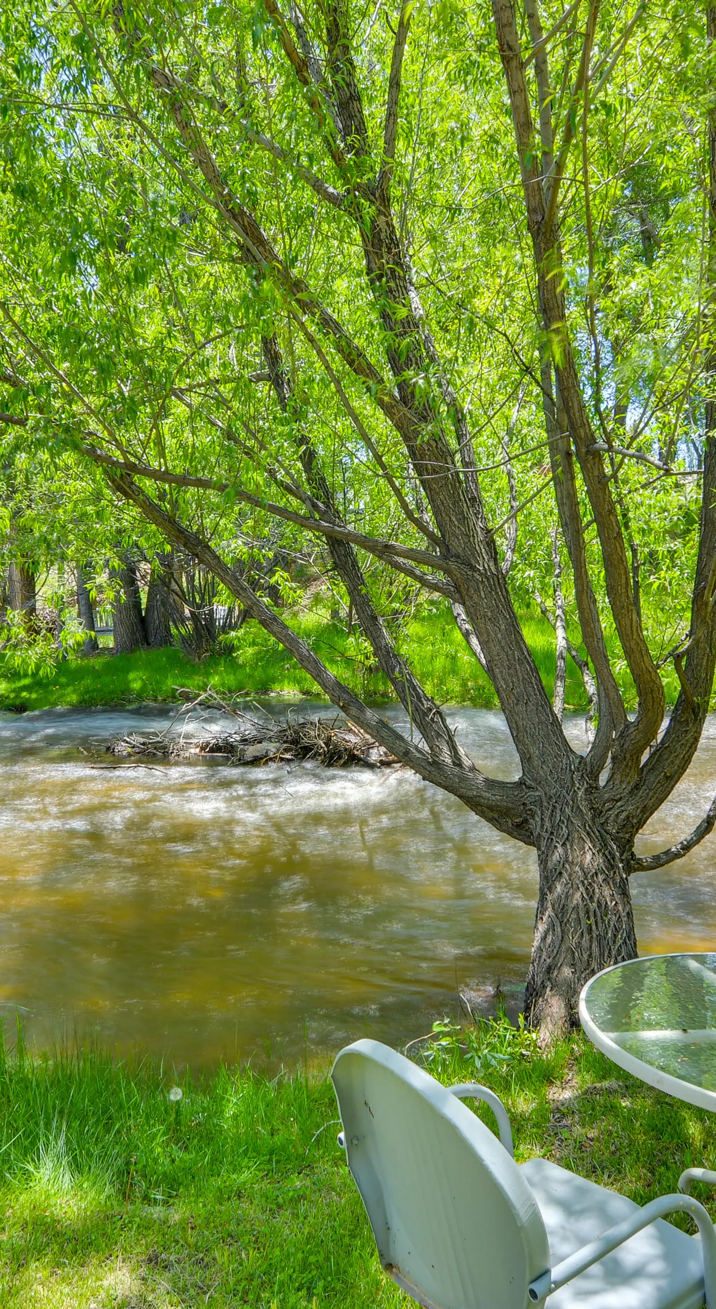Buena Vista Creekside Home w/ Private Hot Tub!