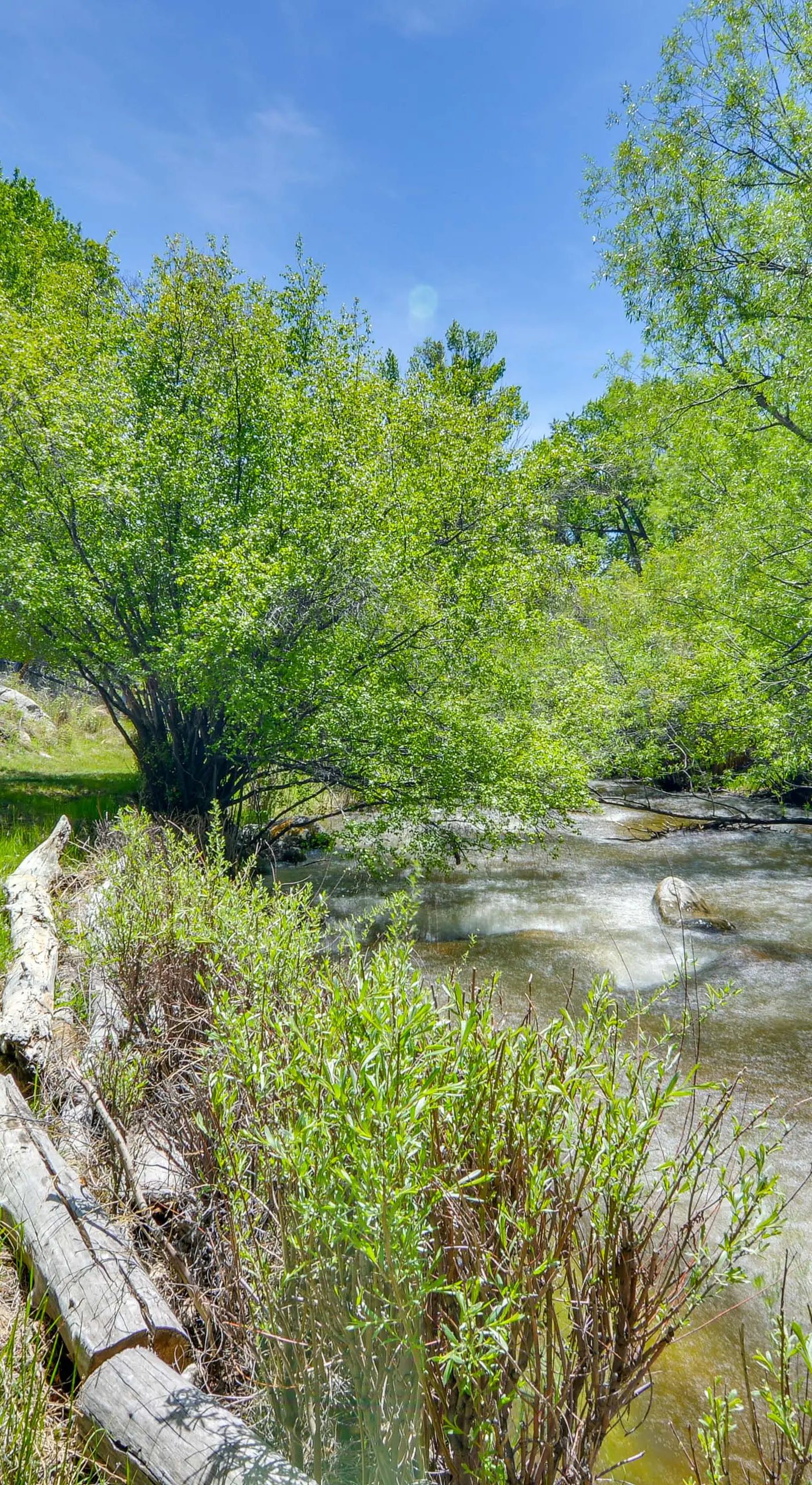 Buena Vista Creekside Home w/ Private Hot Tub!