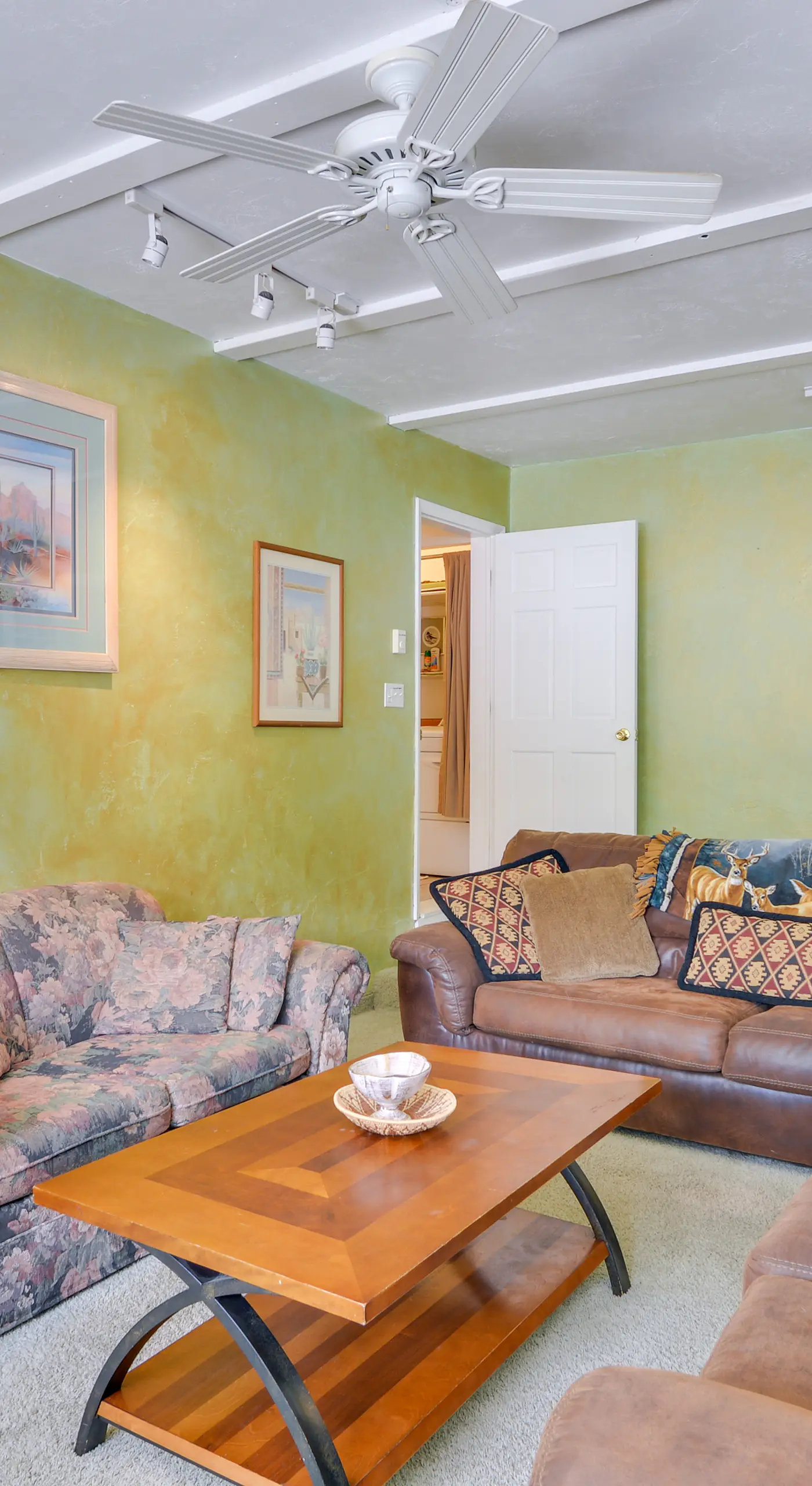 Buena Vista Creekside Home w/ Private Hot Tub!