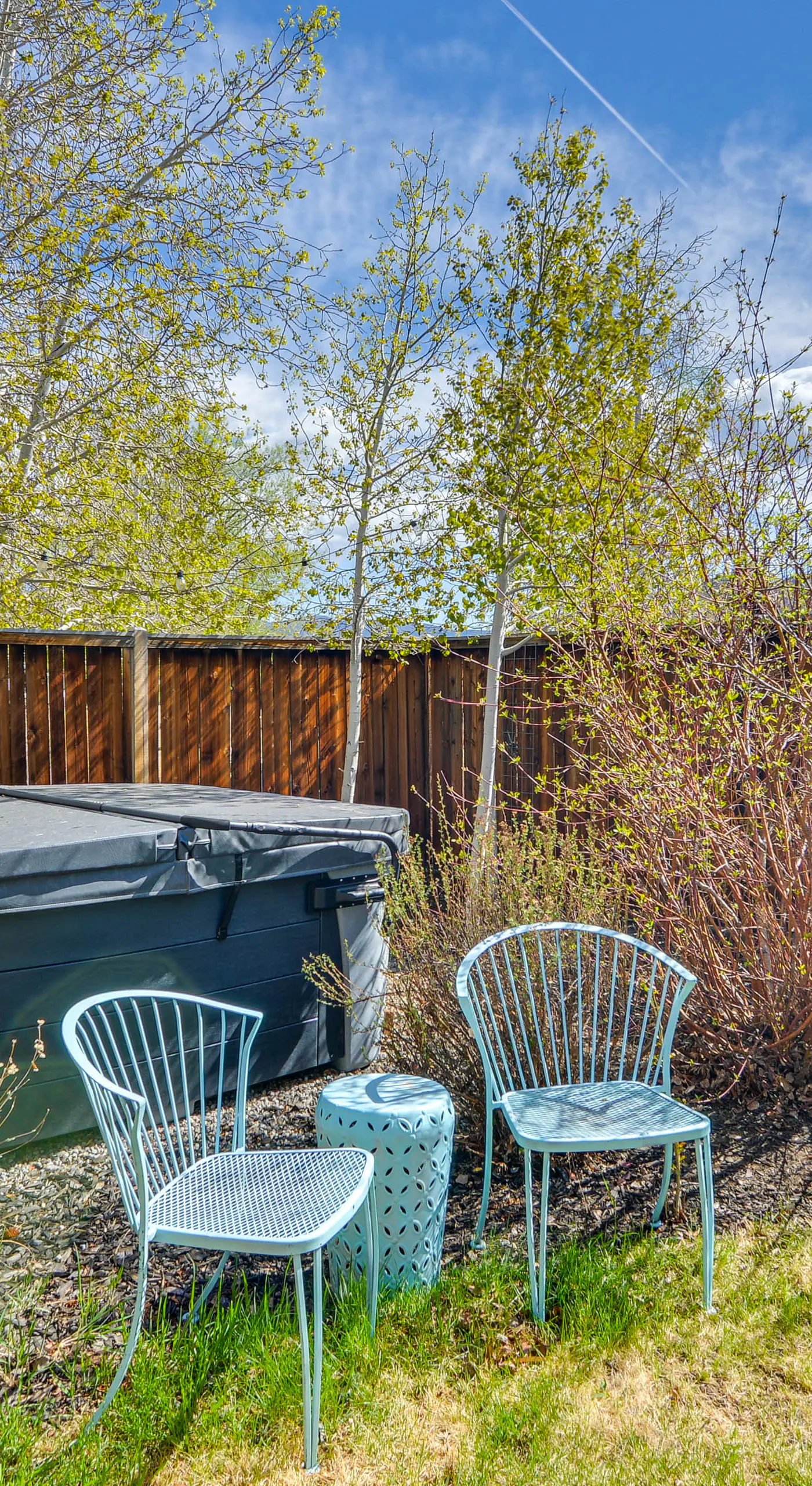 Buena Vista Vacation Home: Hot Tub, Mountain Views
