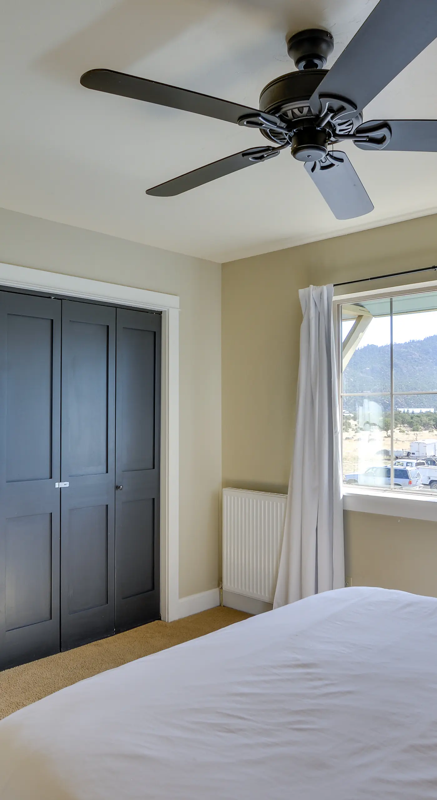 Buena Vista Vacation Home: Hot Tub, Mountain Views