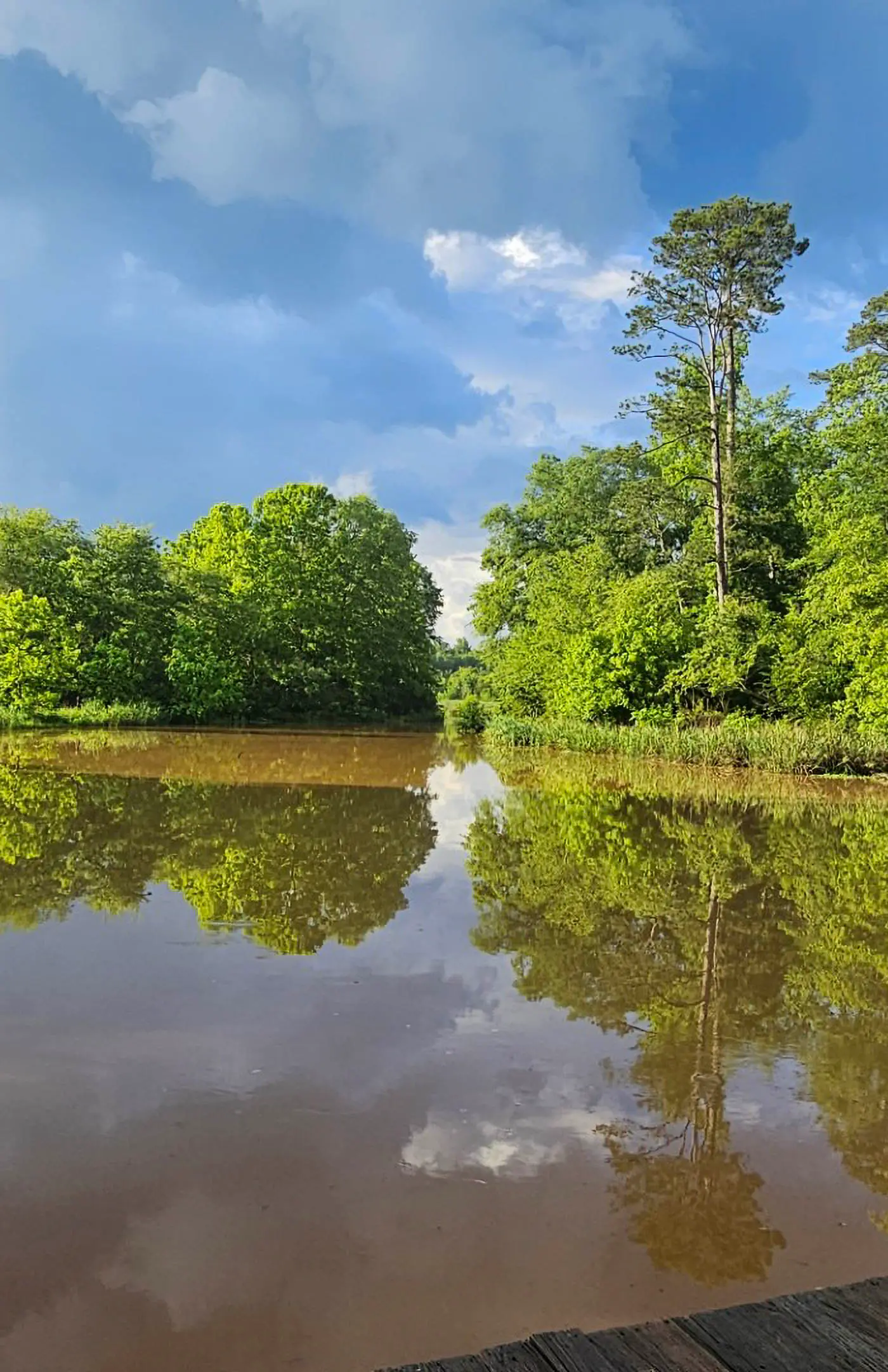 Wilderness Retreat on Crooked Creek, Lake Sinclair