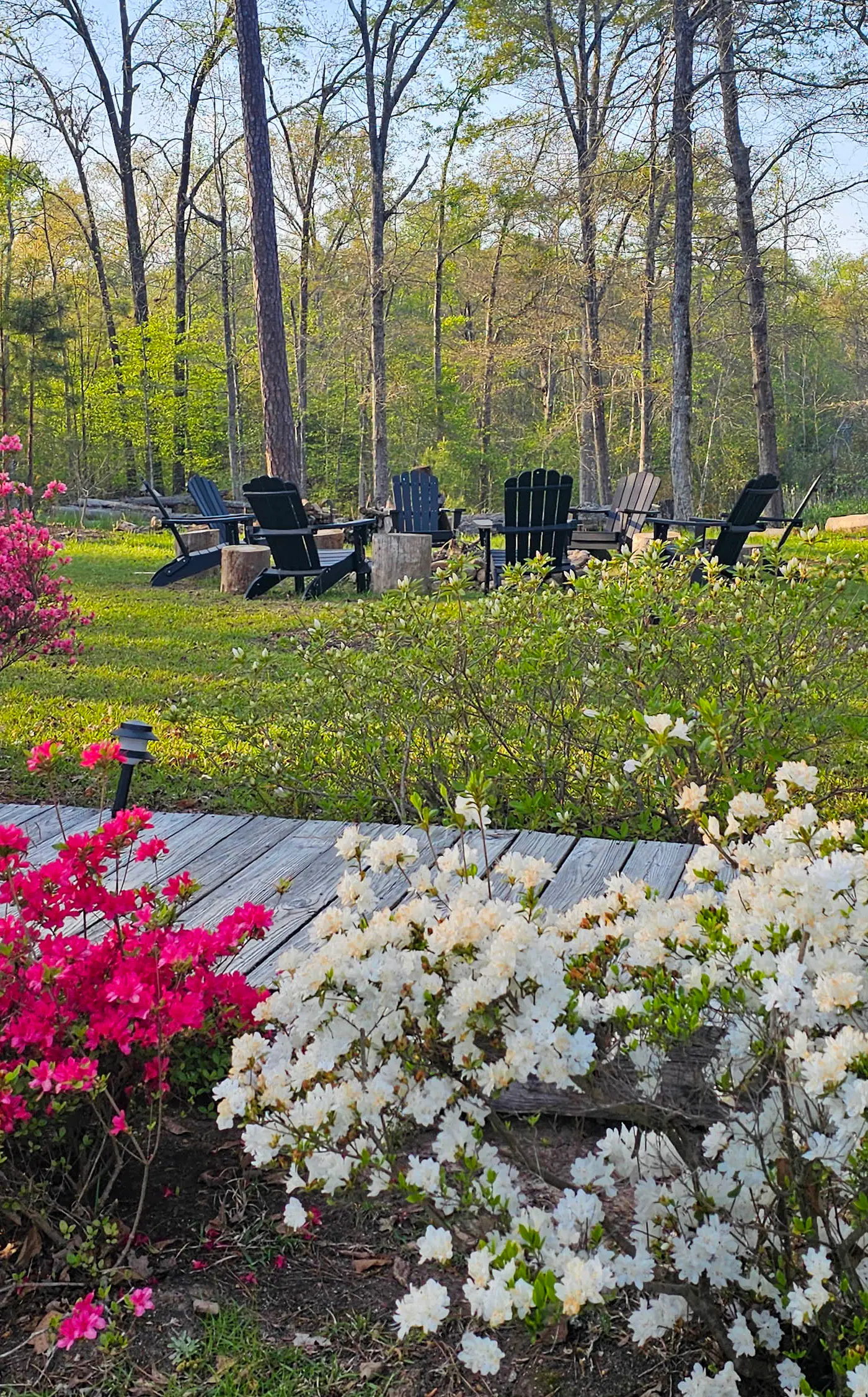 Wilderness Retreat on Crooked Creek, Lake Sinclair