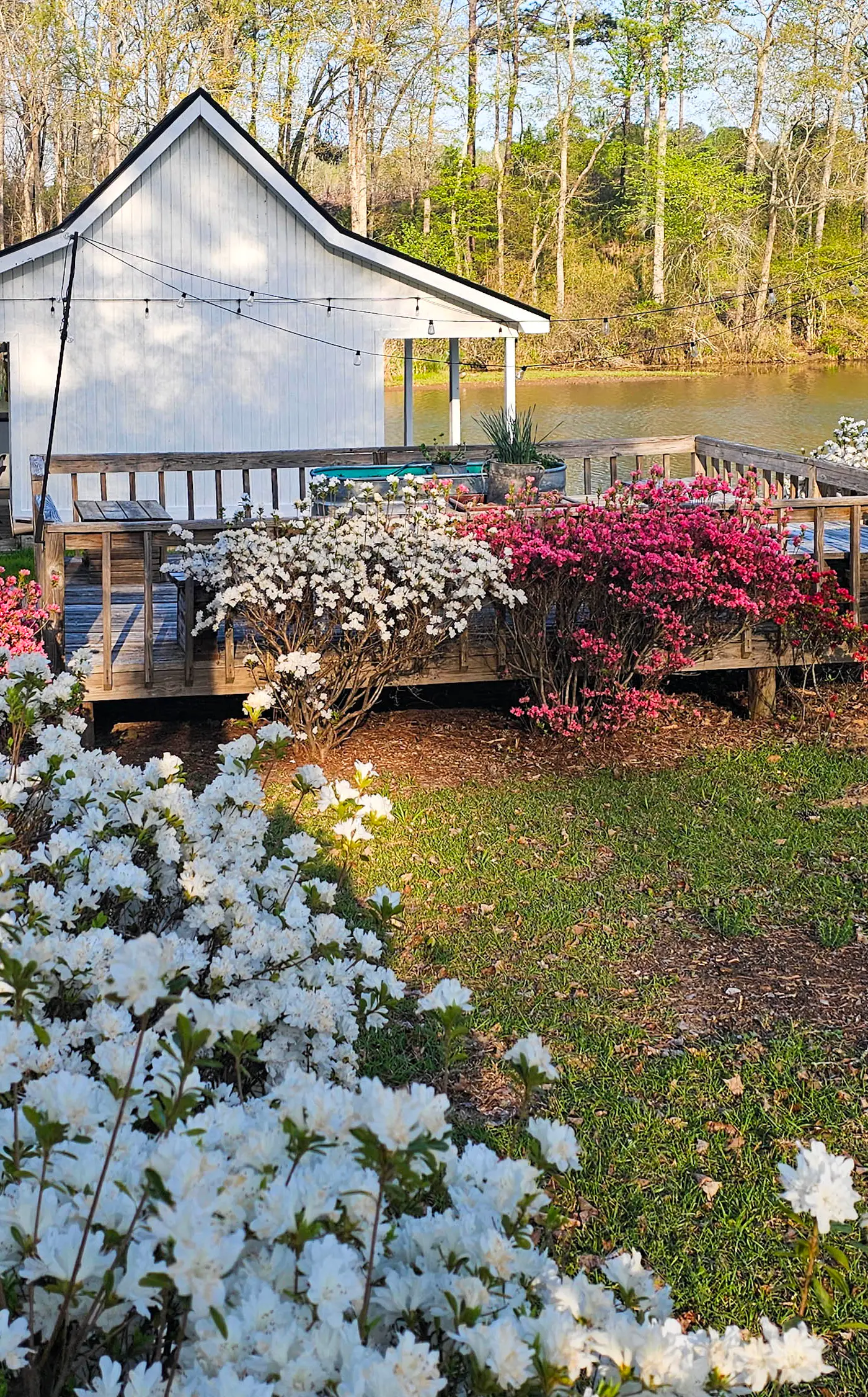 Wilderness Retreat on Crooked Creek, Lake Sinclair