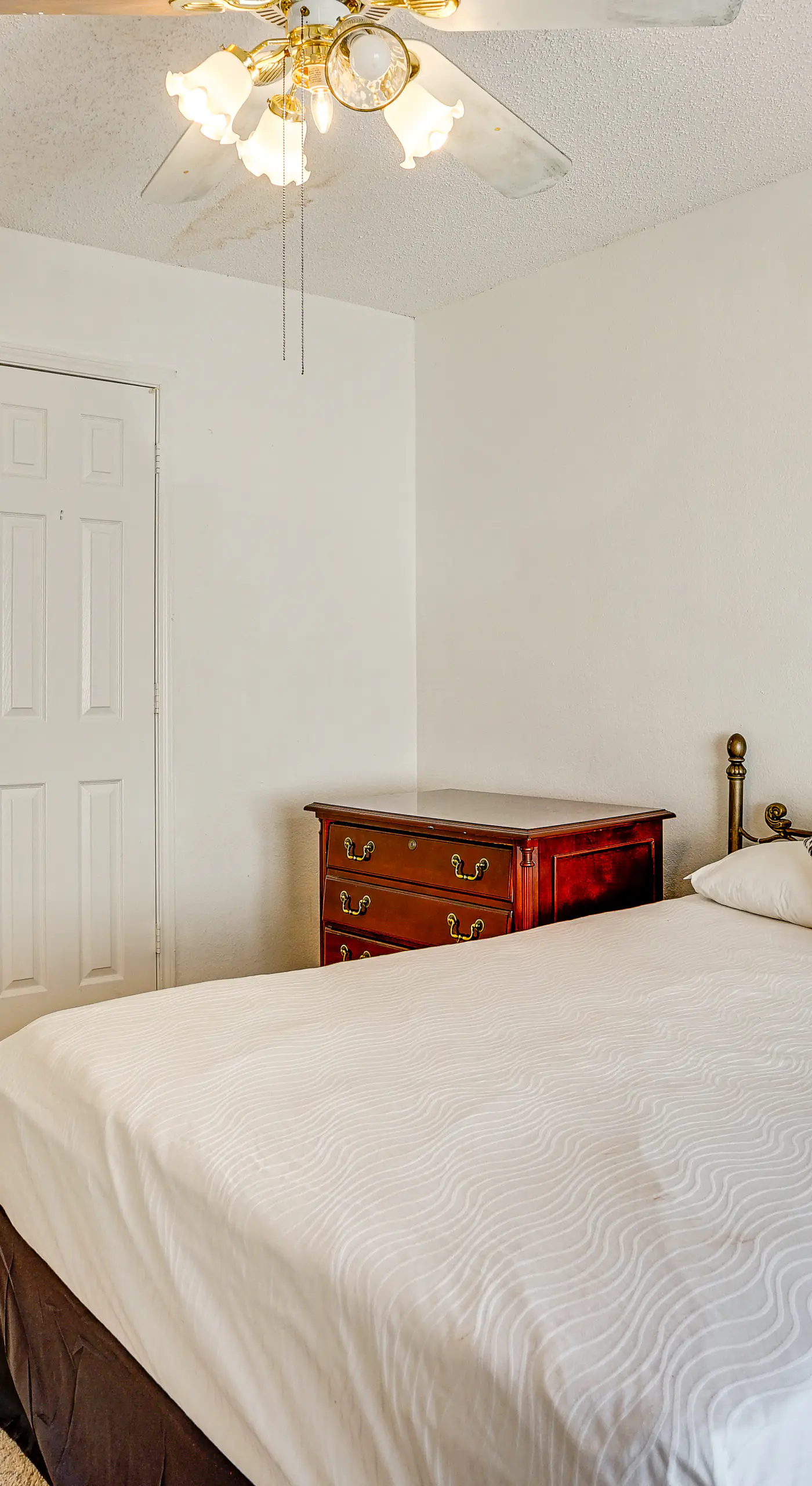 Large Families Welcome! Spacious Fort Worth Home
