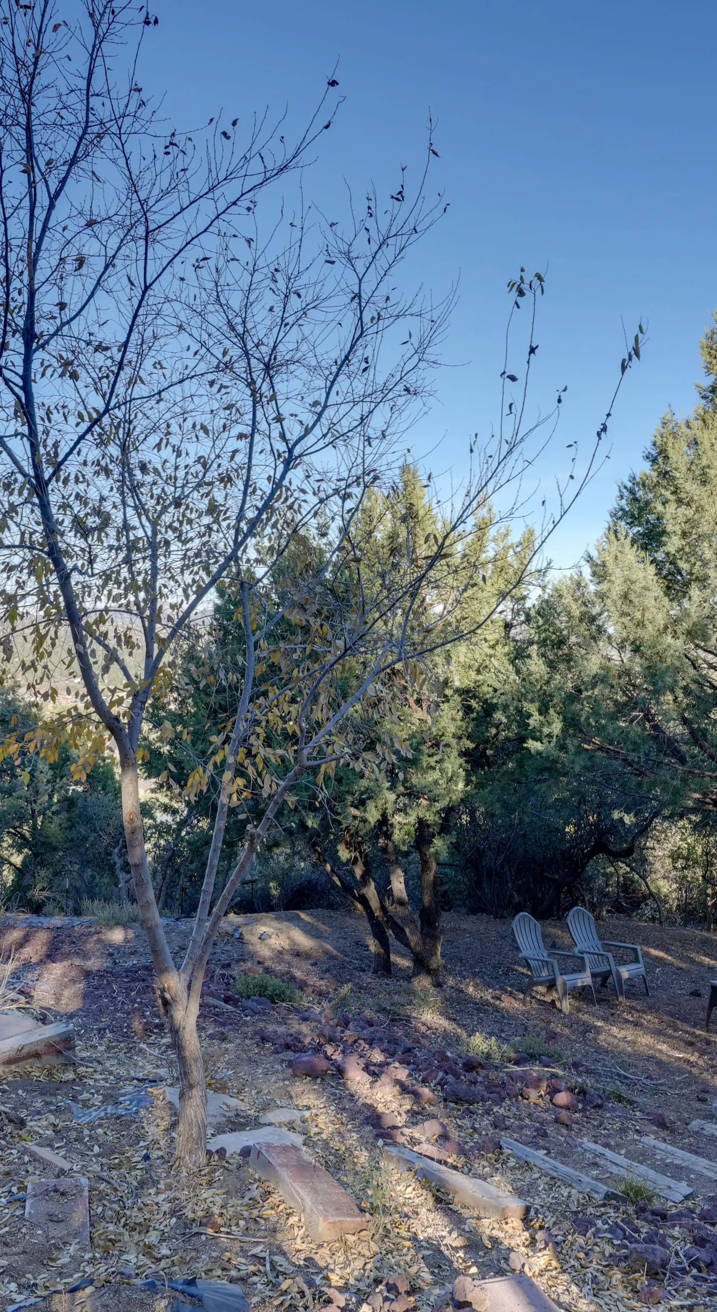 Hot Tub, Mountain Views: Scenic Prescott Home