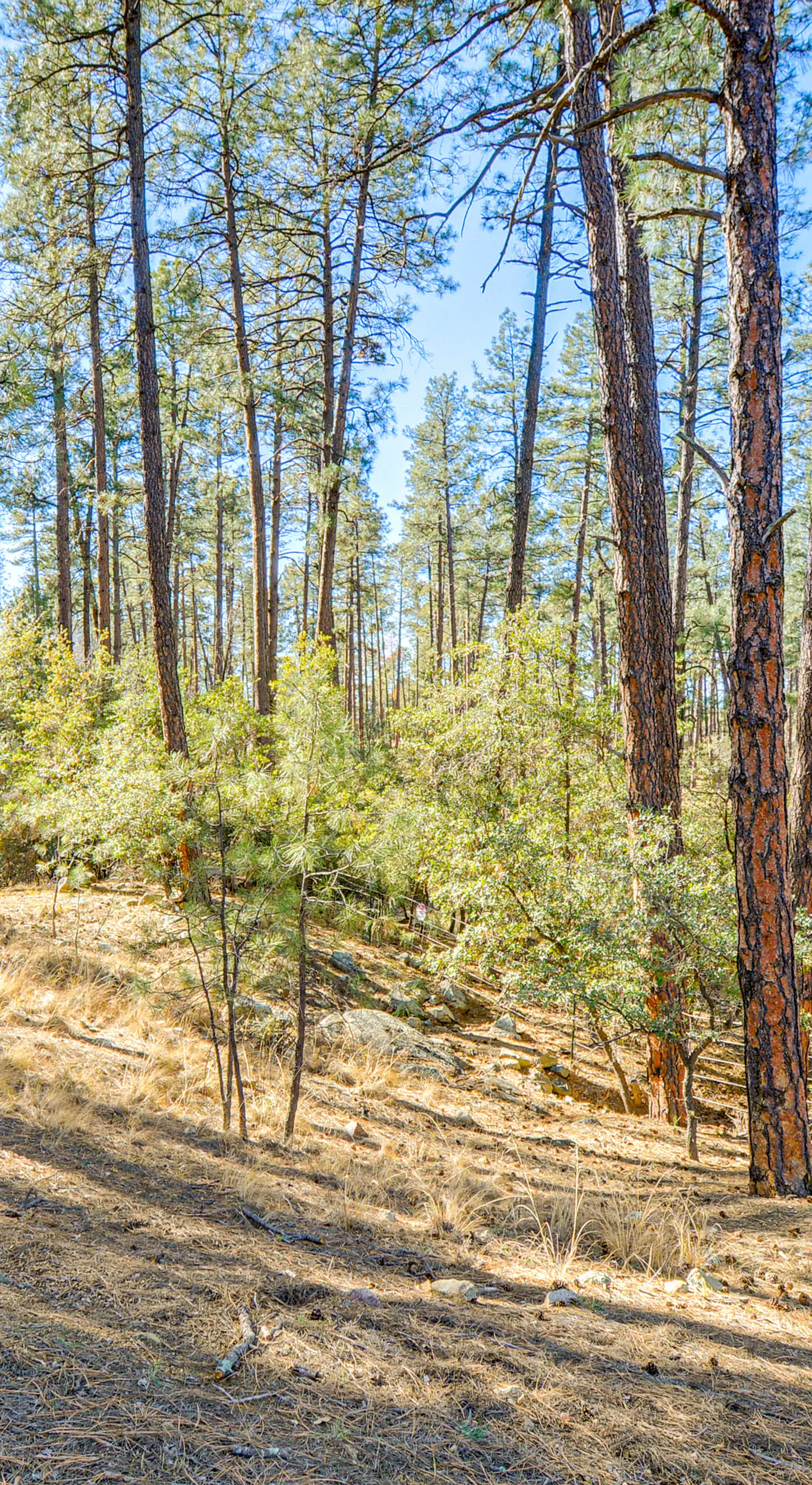 Prescott Retreat w/ Community Perks, Near Downtown