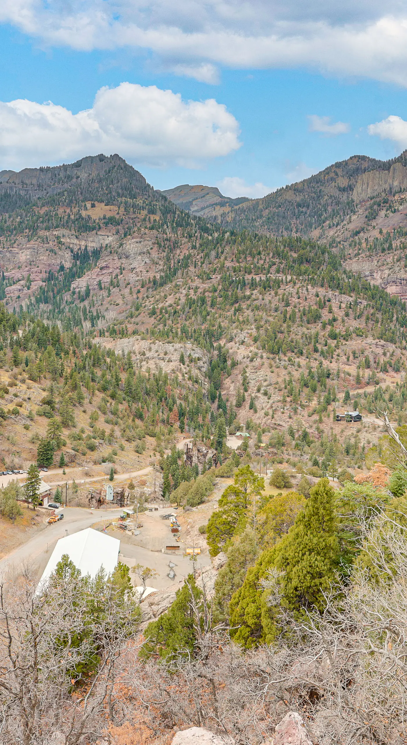 The Switzerland of America Downtown Ouray Cabin!