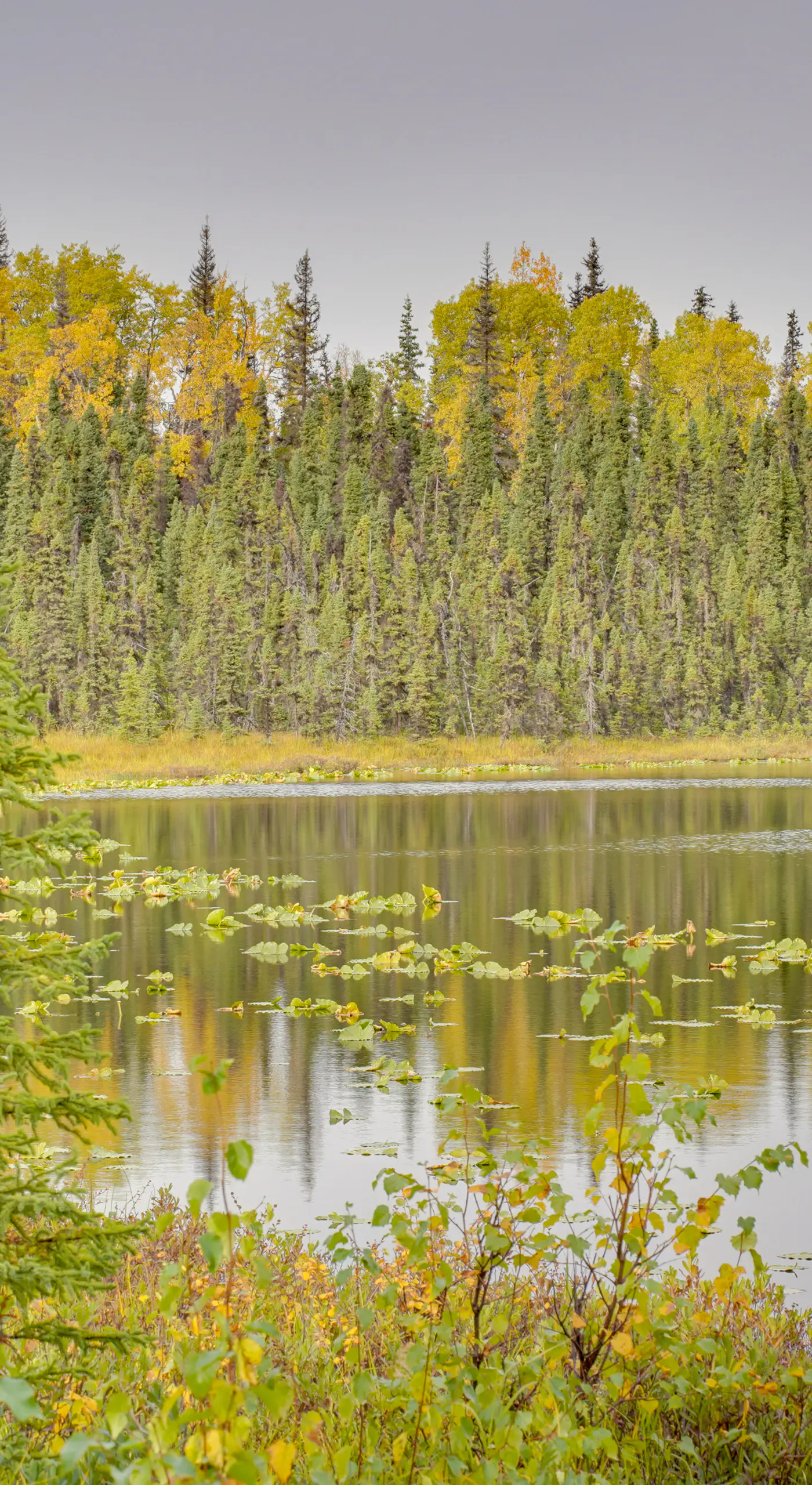 Lake Access at Peaceful Kenai Peninsula Getaway
