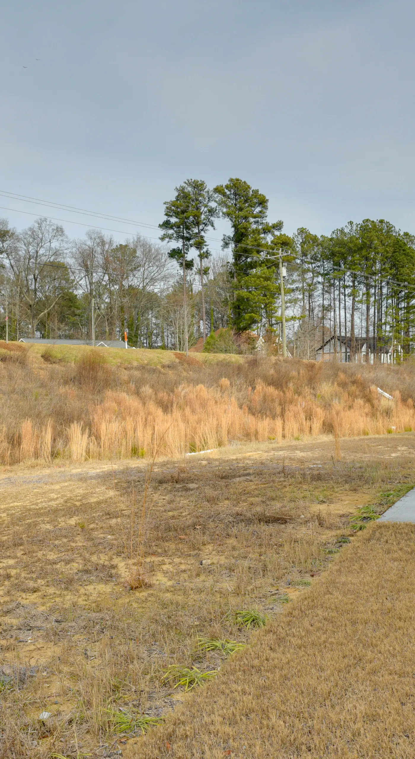9 Mi to Duke University: Spacious Home w/ Yard!