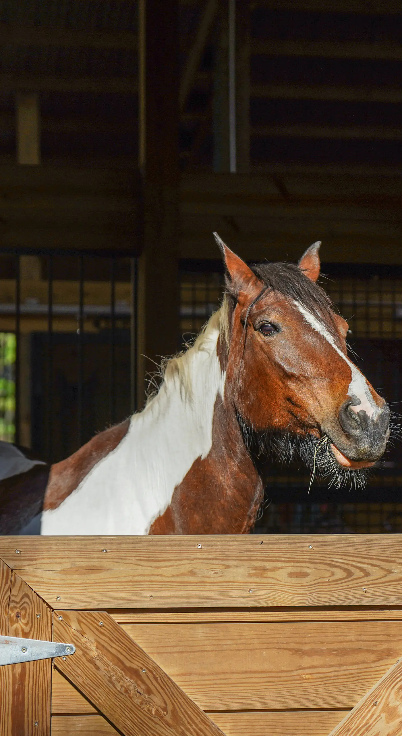Farm Stay: Modern Barndominium in Lakeland!