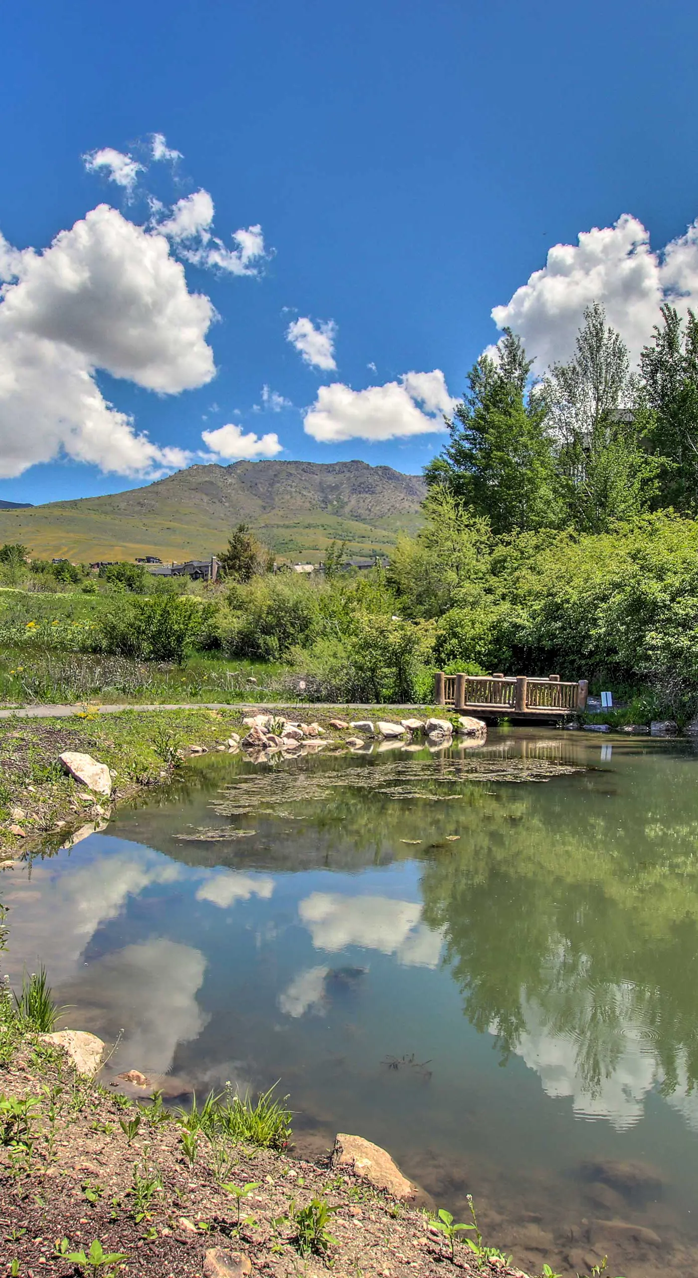 2-Condo Property w/ Mtn Views by Golf & Ski Resort