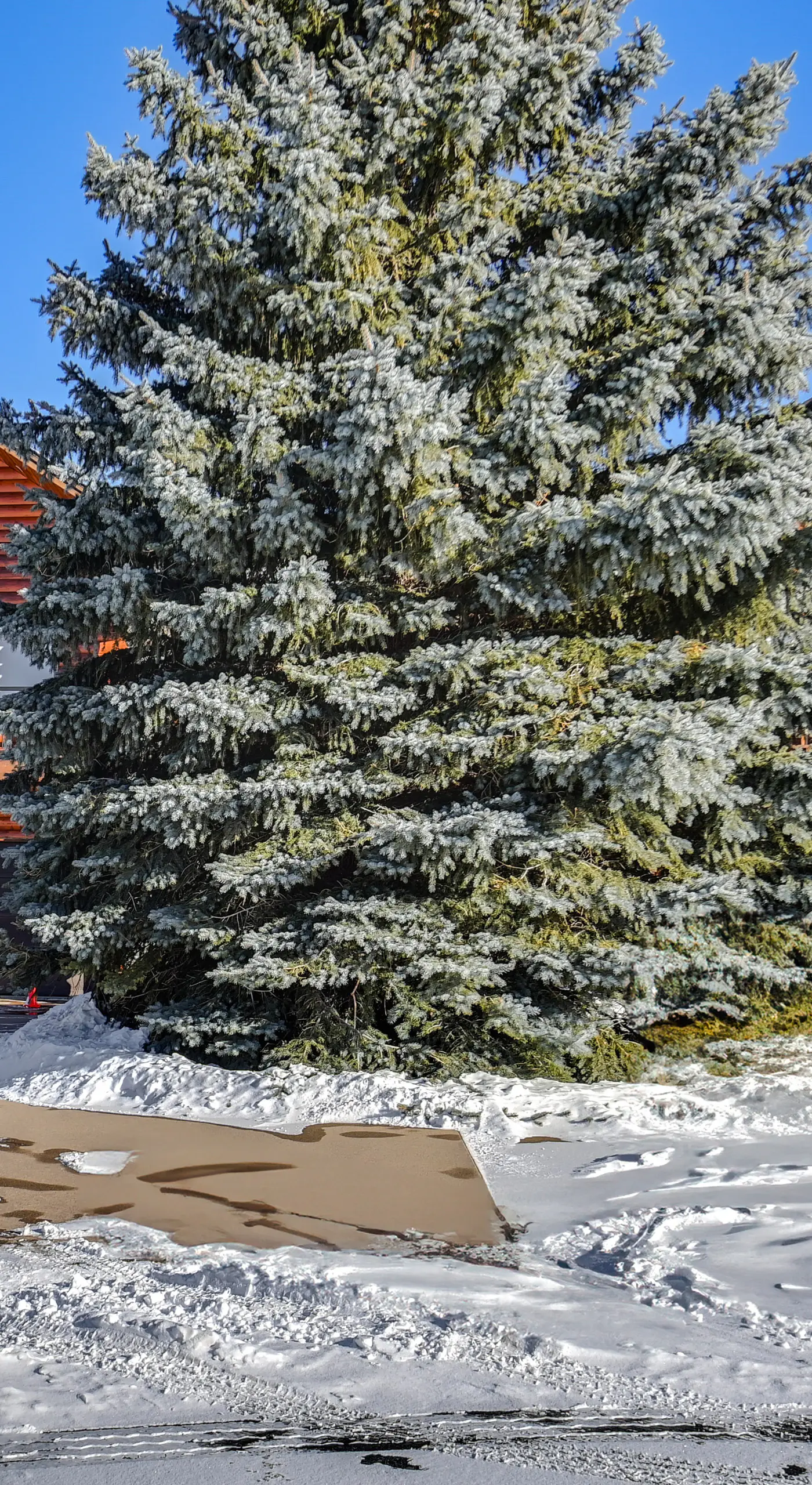 3 Mi to Dtwn: Mtn-View Red Lodge Retreat!