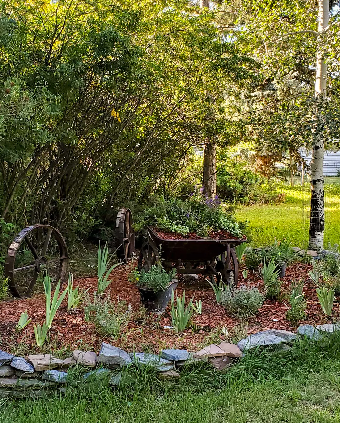 Charming Buena Vista Creekside Home: Walk to Main!