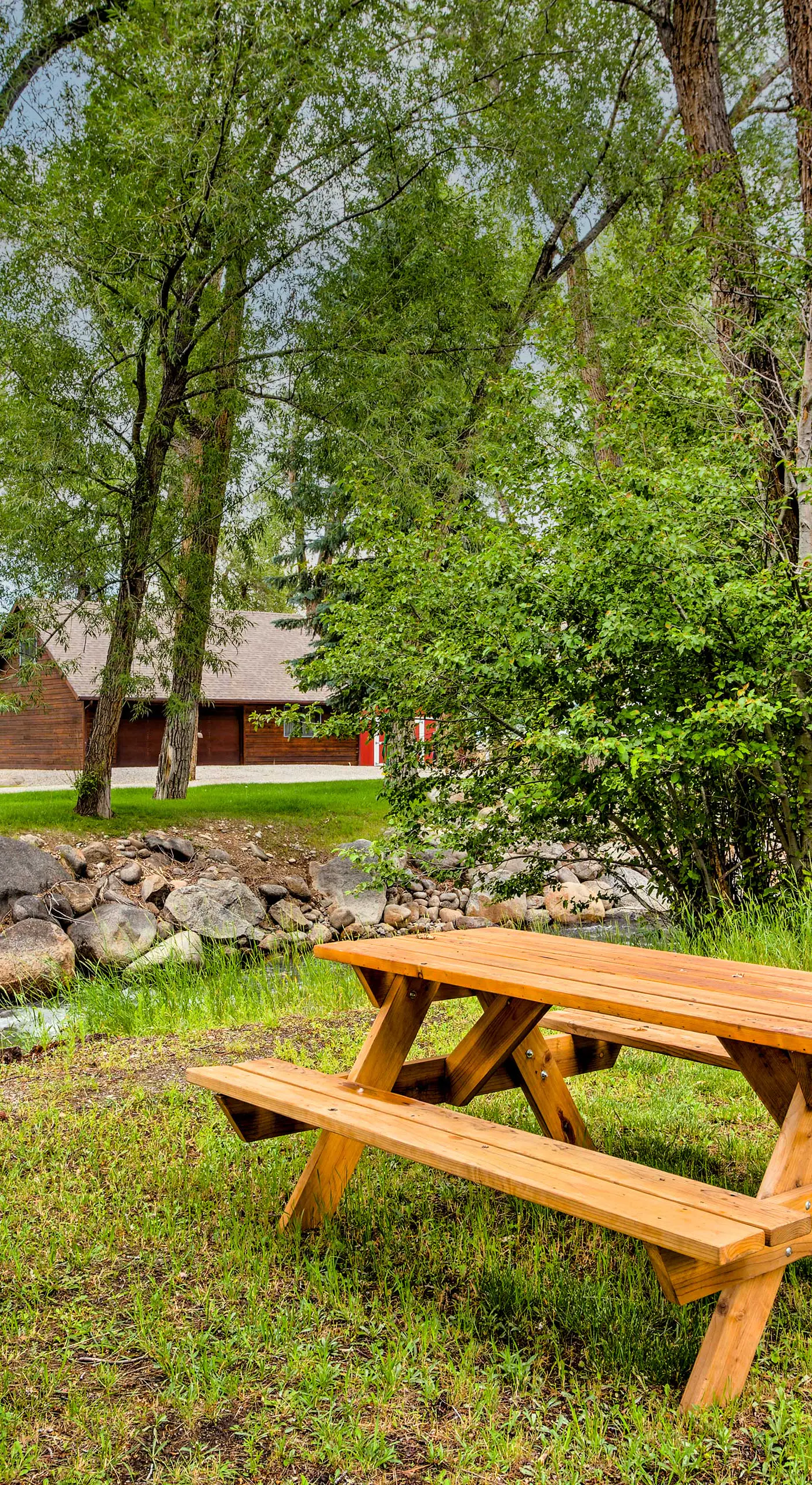 Charming Buena Vista Creekside Home: Walk to Main!