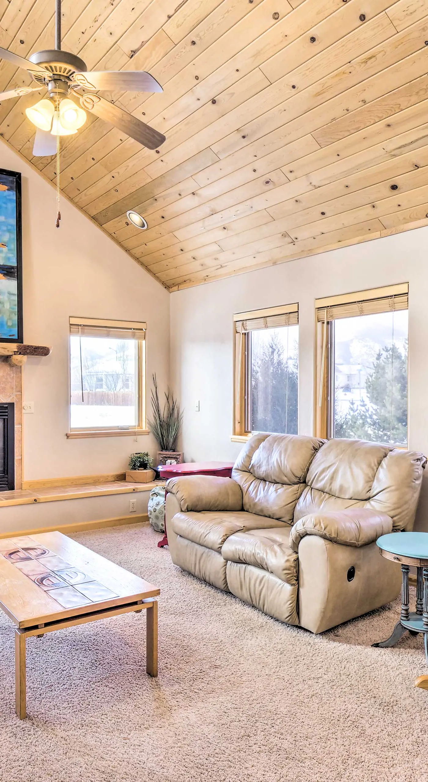 Charming, Spacious & Pet-Friendly Buena Vista Home