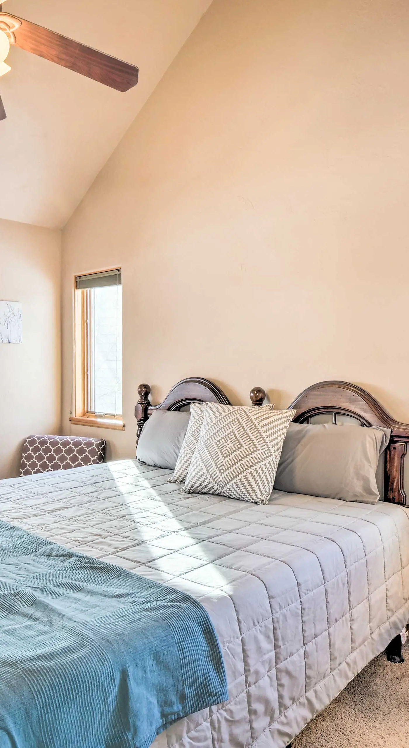 Charming, Spacious & Pet-Friendly Buena Vista Home