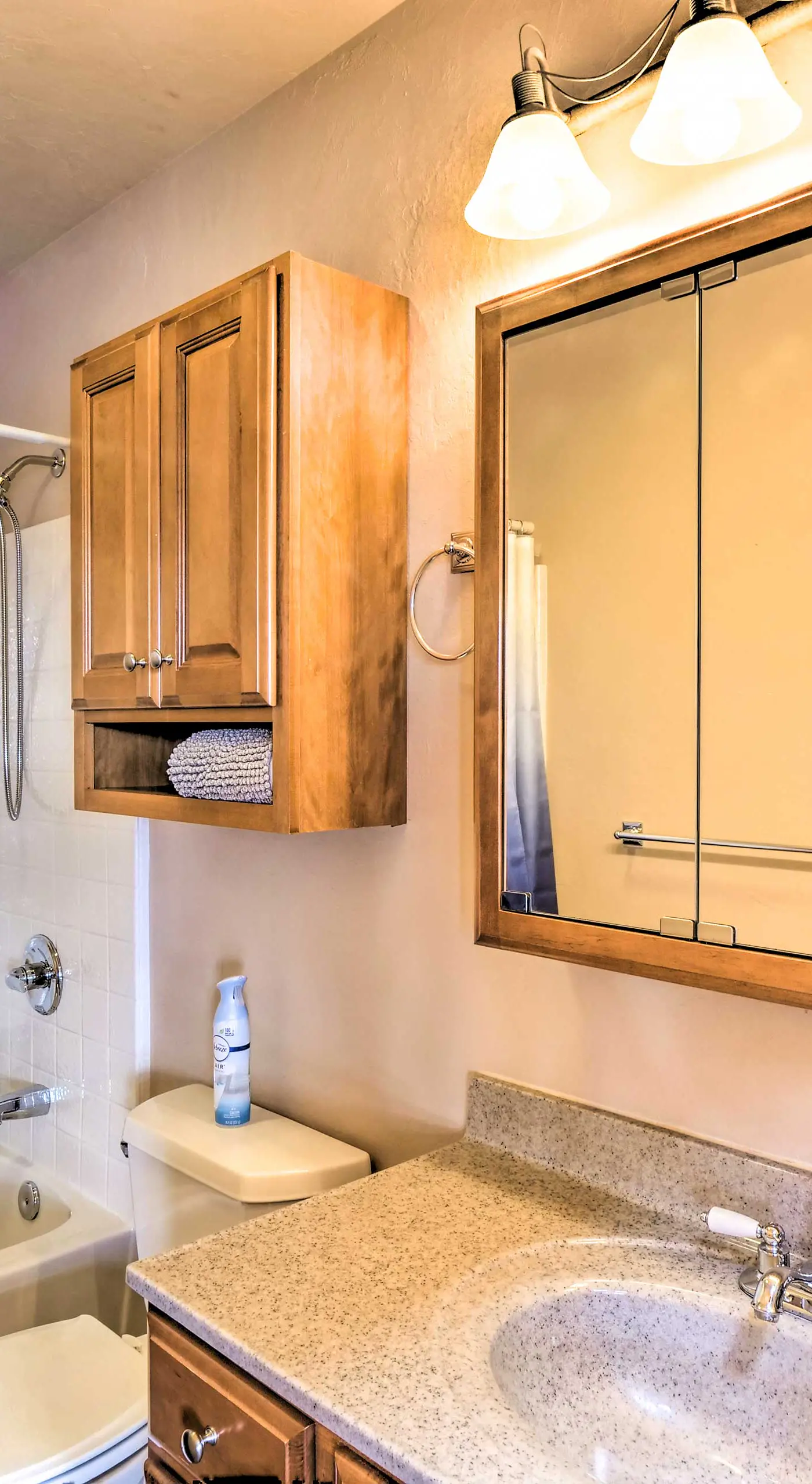 Charming, Spacious & Pet-Friendly Buena Vista Home