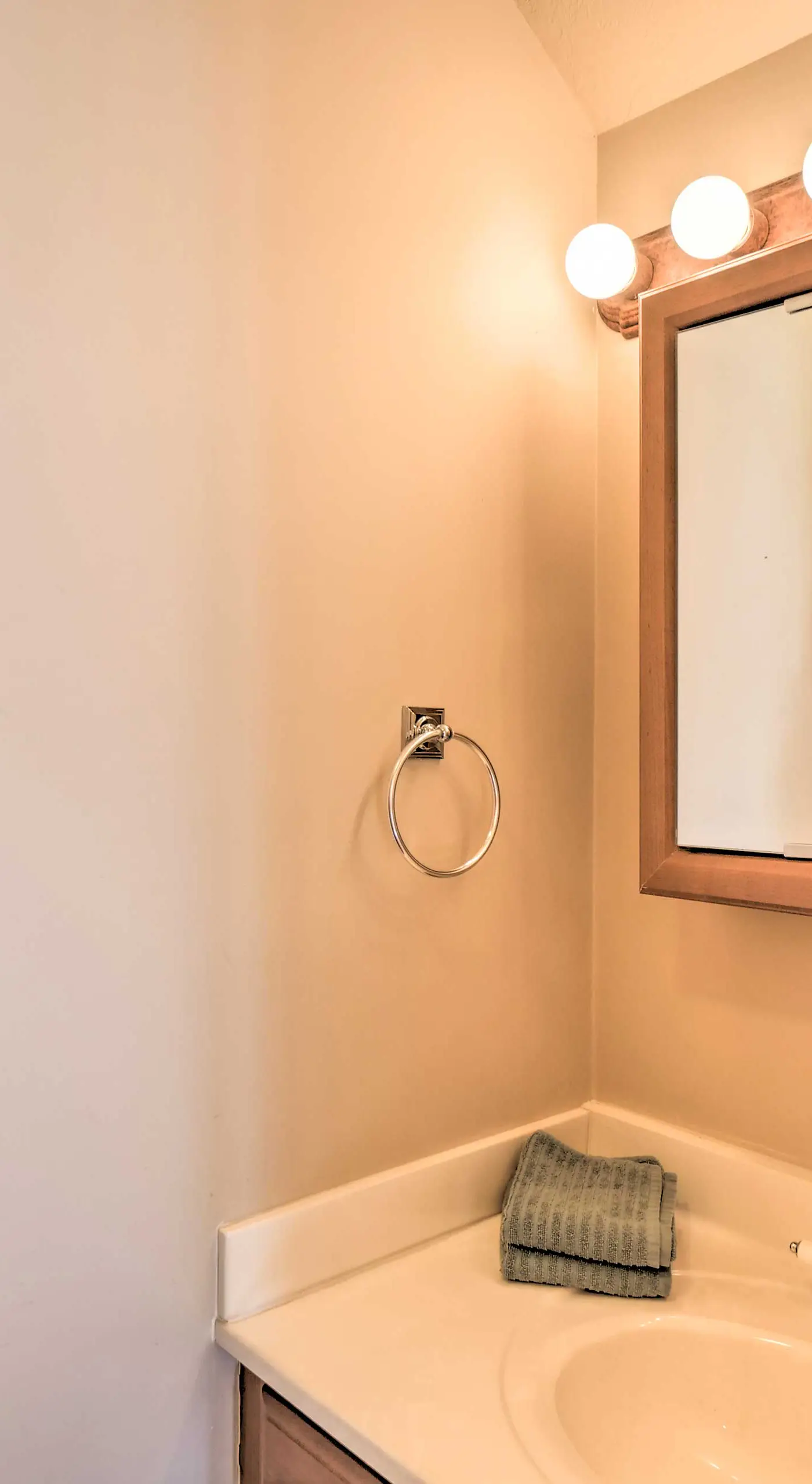 Charming, Spacious & Pet-Friendly Buena Vista Home