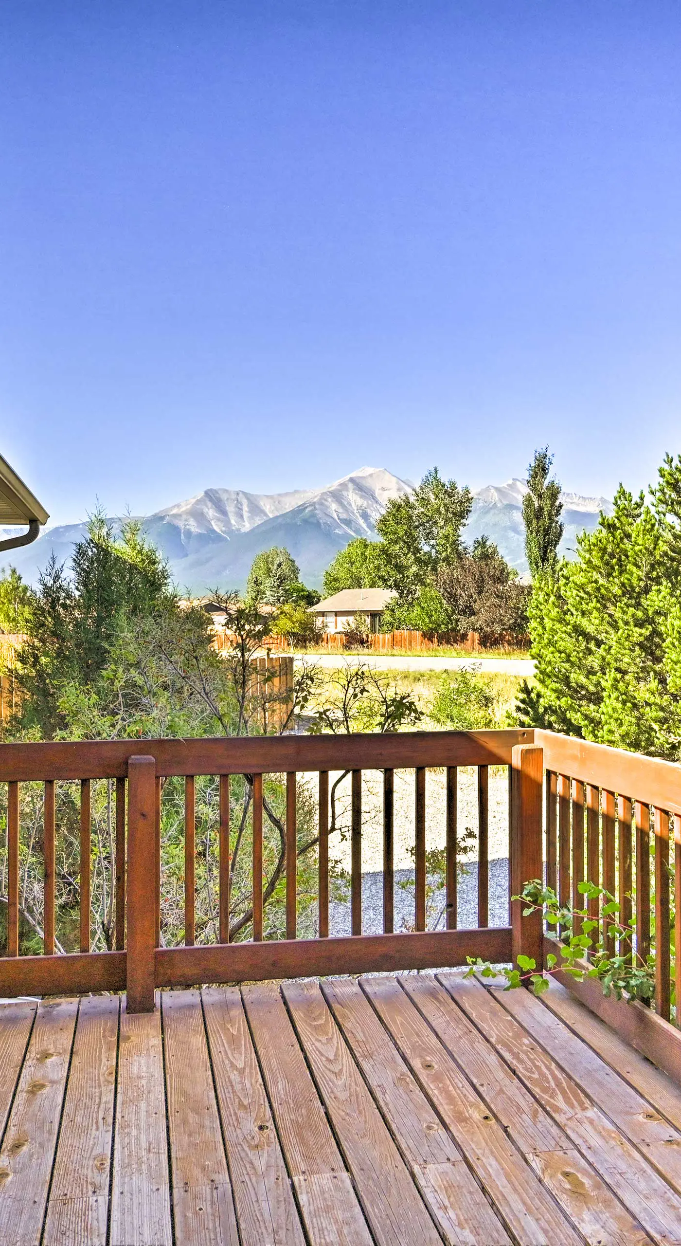 Charming, Spacious & Pet-Friendly Buena Vista Home