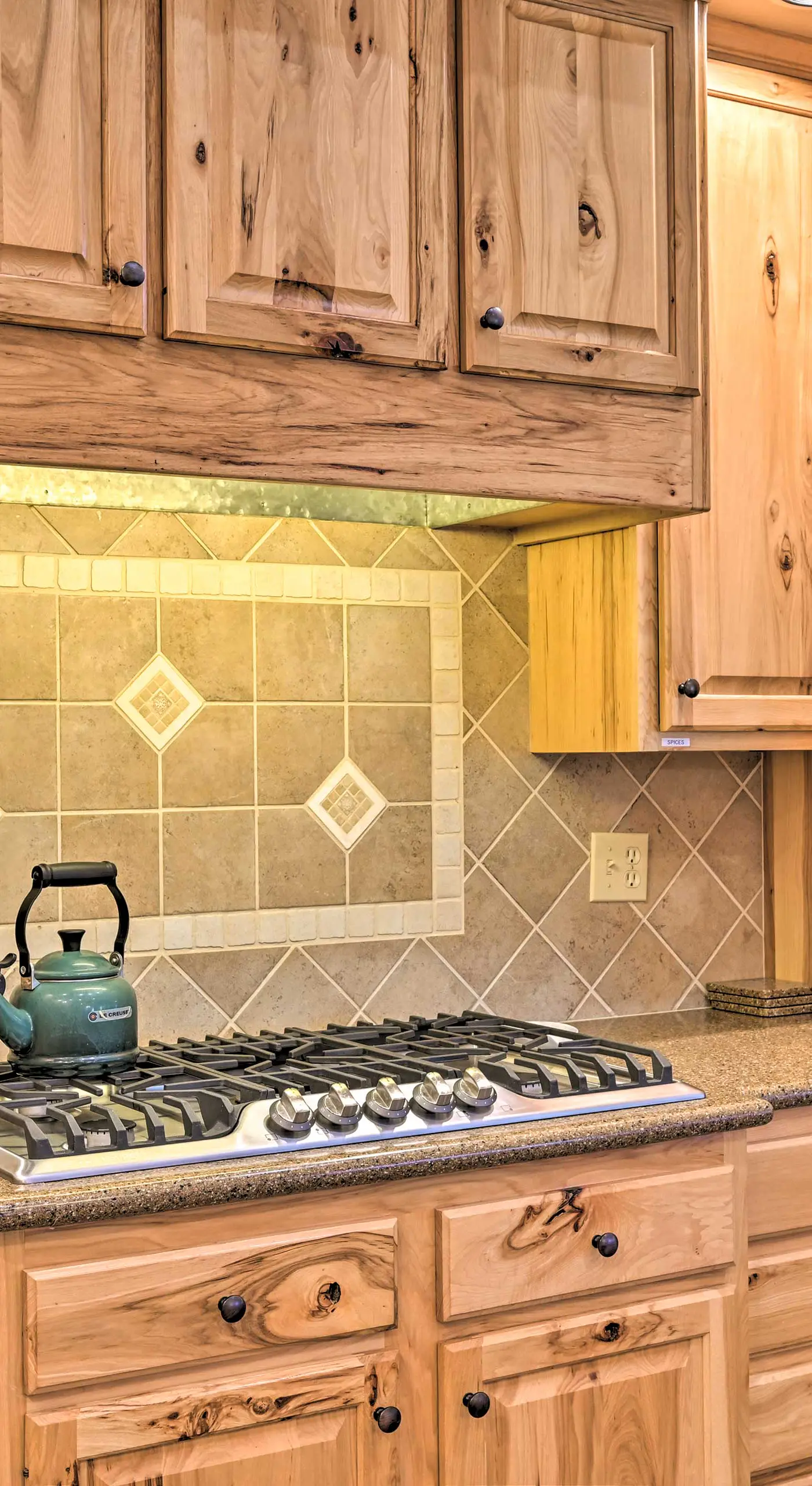 Charming, Spacious & Pet-Friendly Buena Vista Home